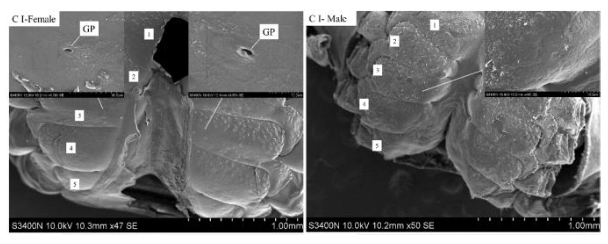 Fishes 10 00008 g004a