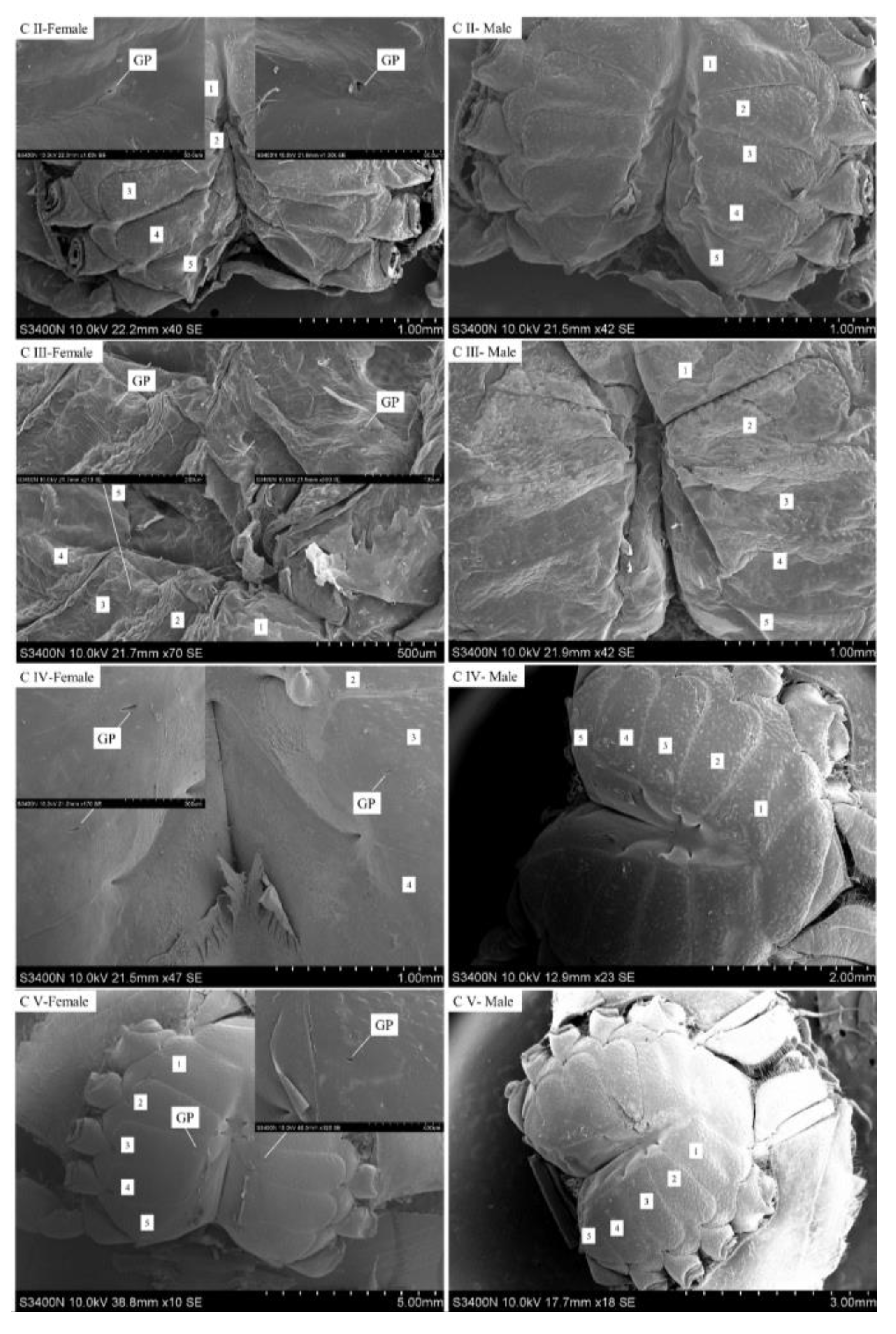 Fishes 10 00008 g004b