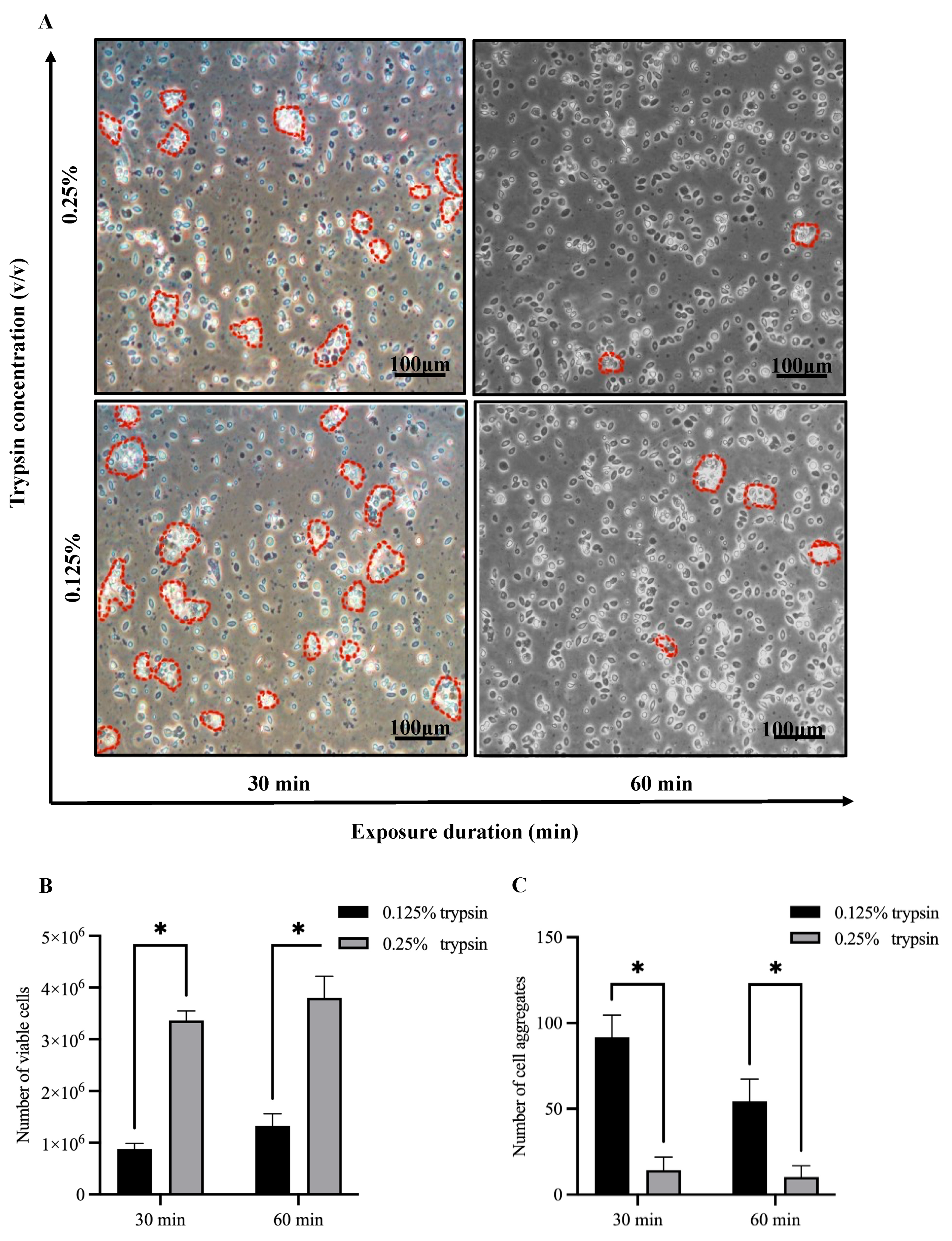 Fishes 10 00018 g001
