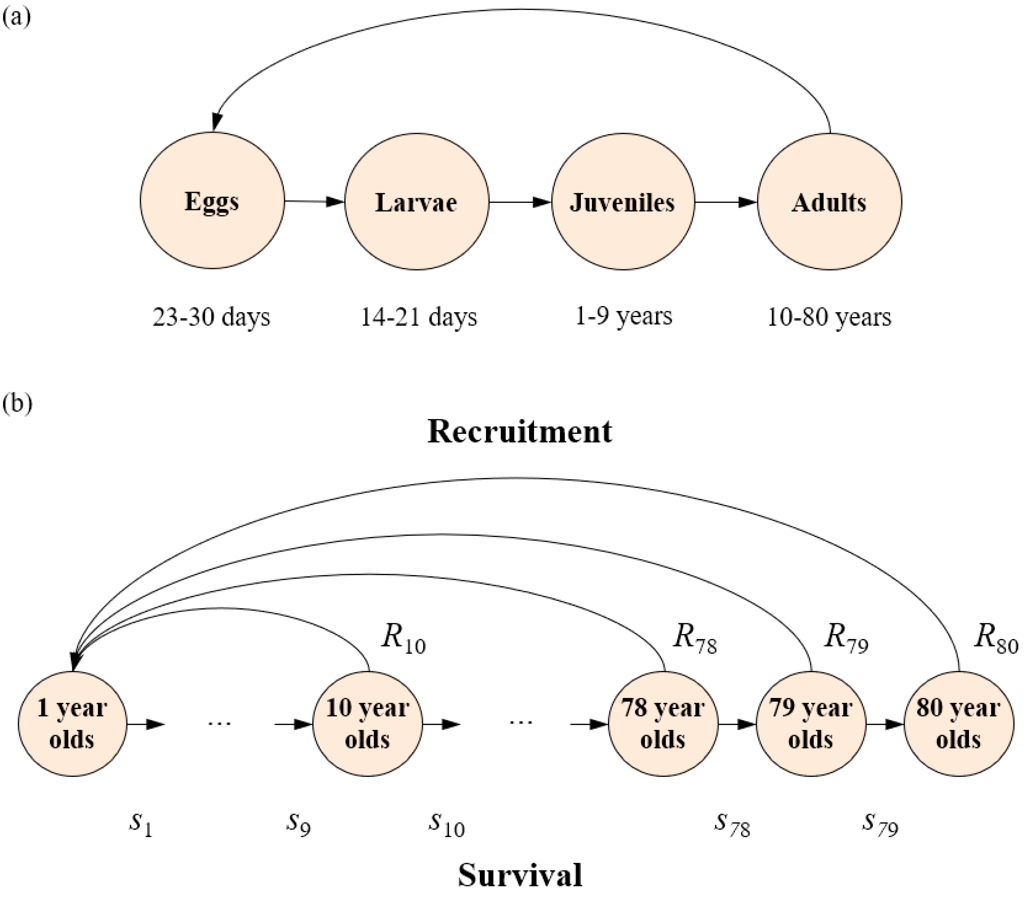 Fishes 10 00022 g002