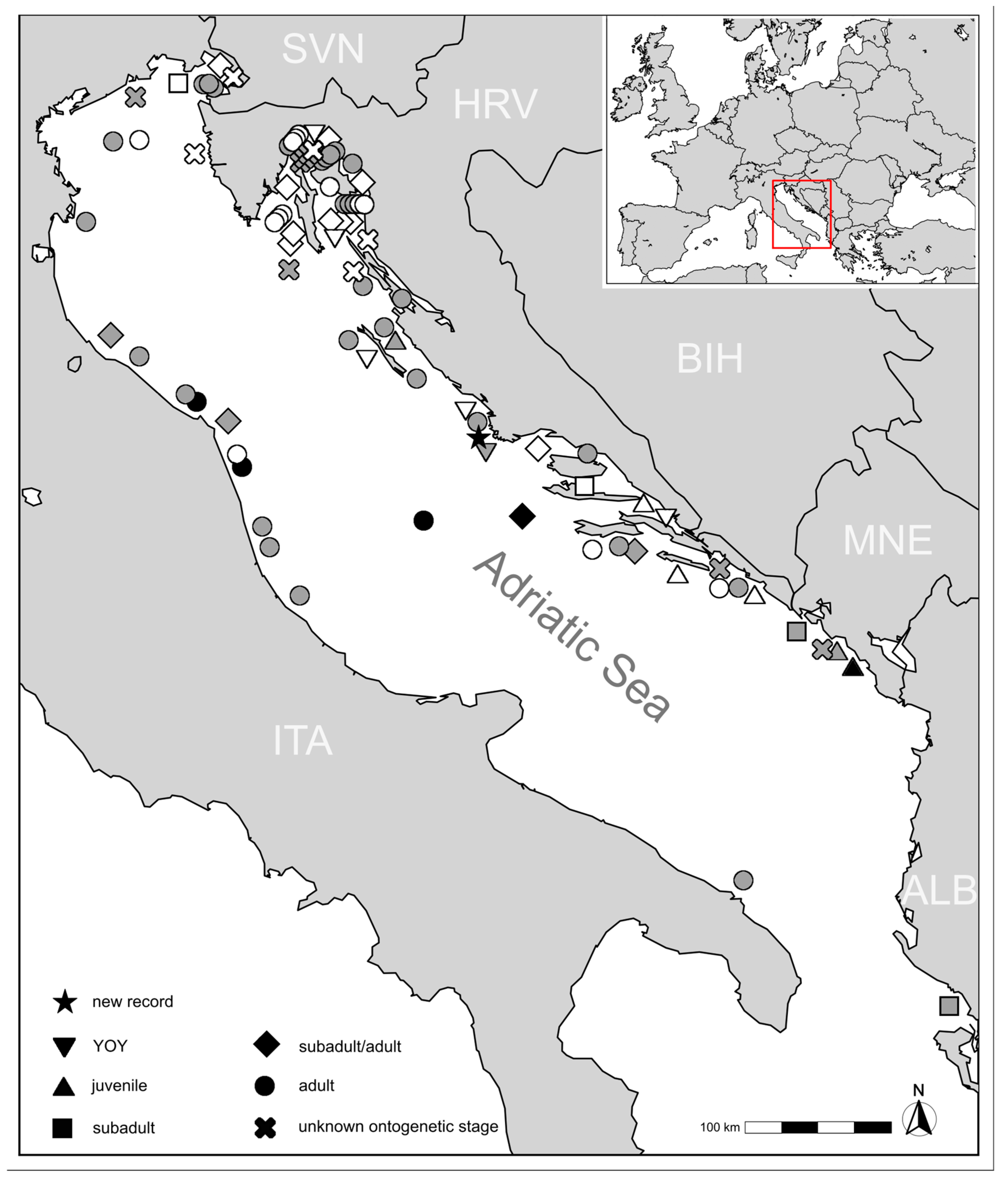Fishes 10 00025 g002