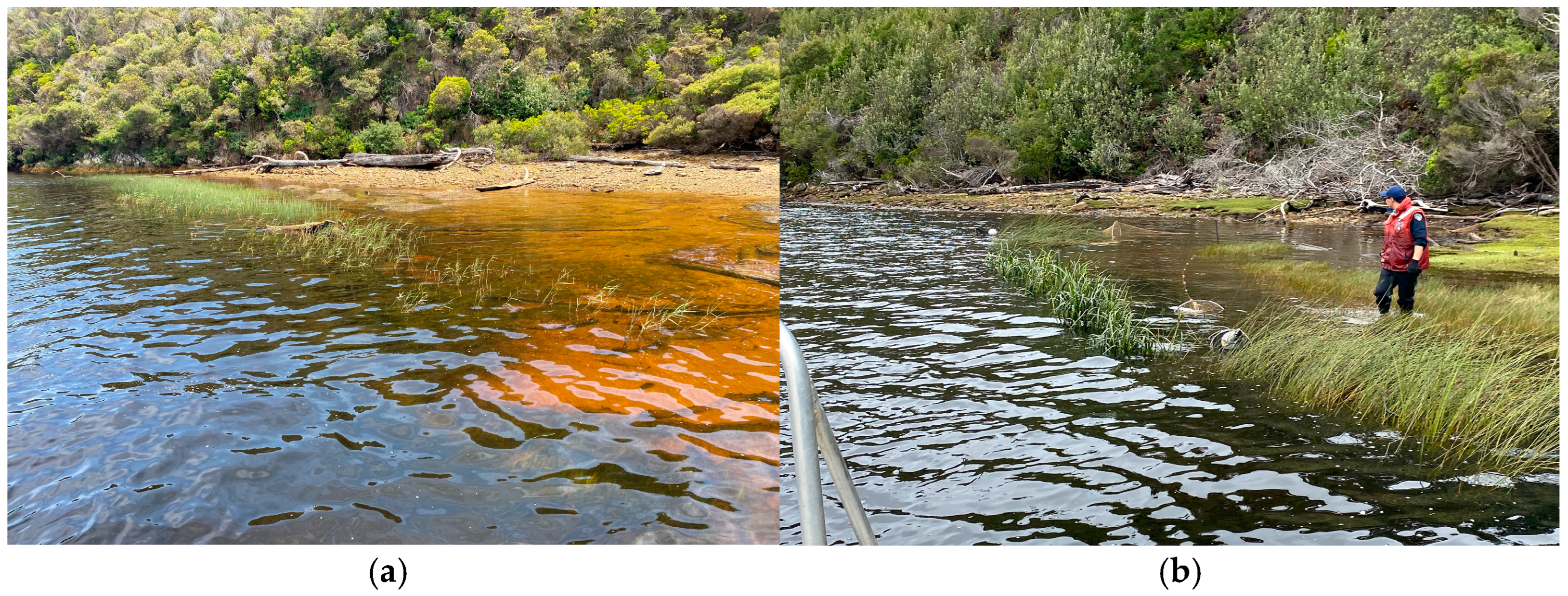 Fishes 10 00031 g002