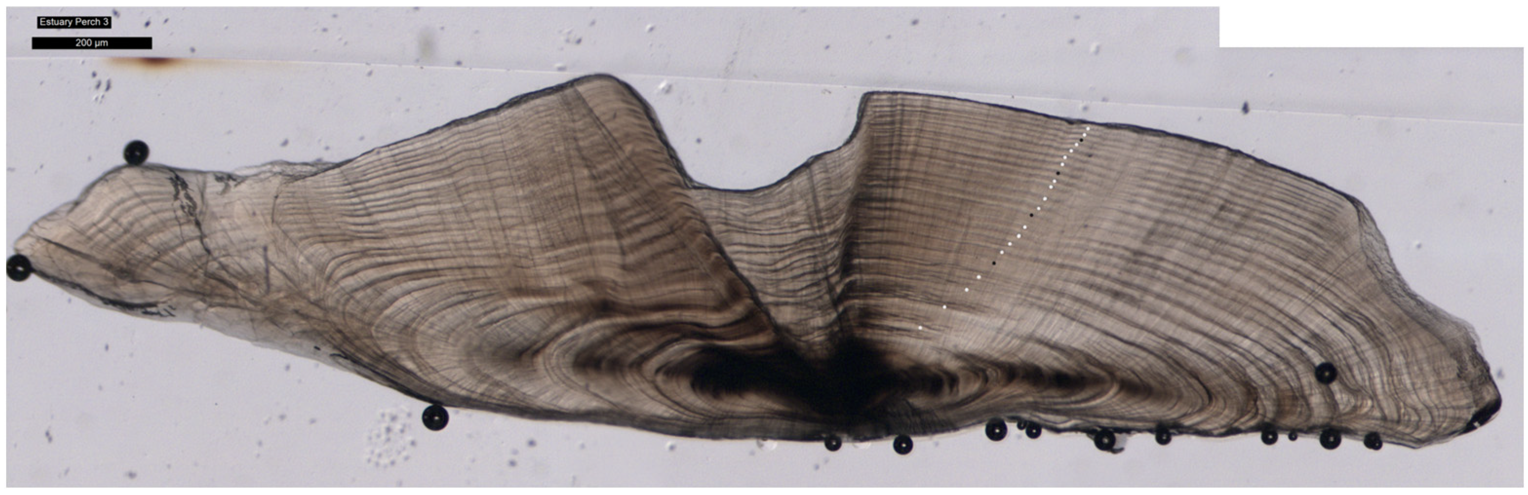 Fishes 10 00031 g004