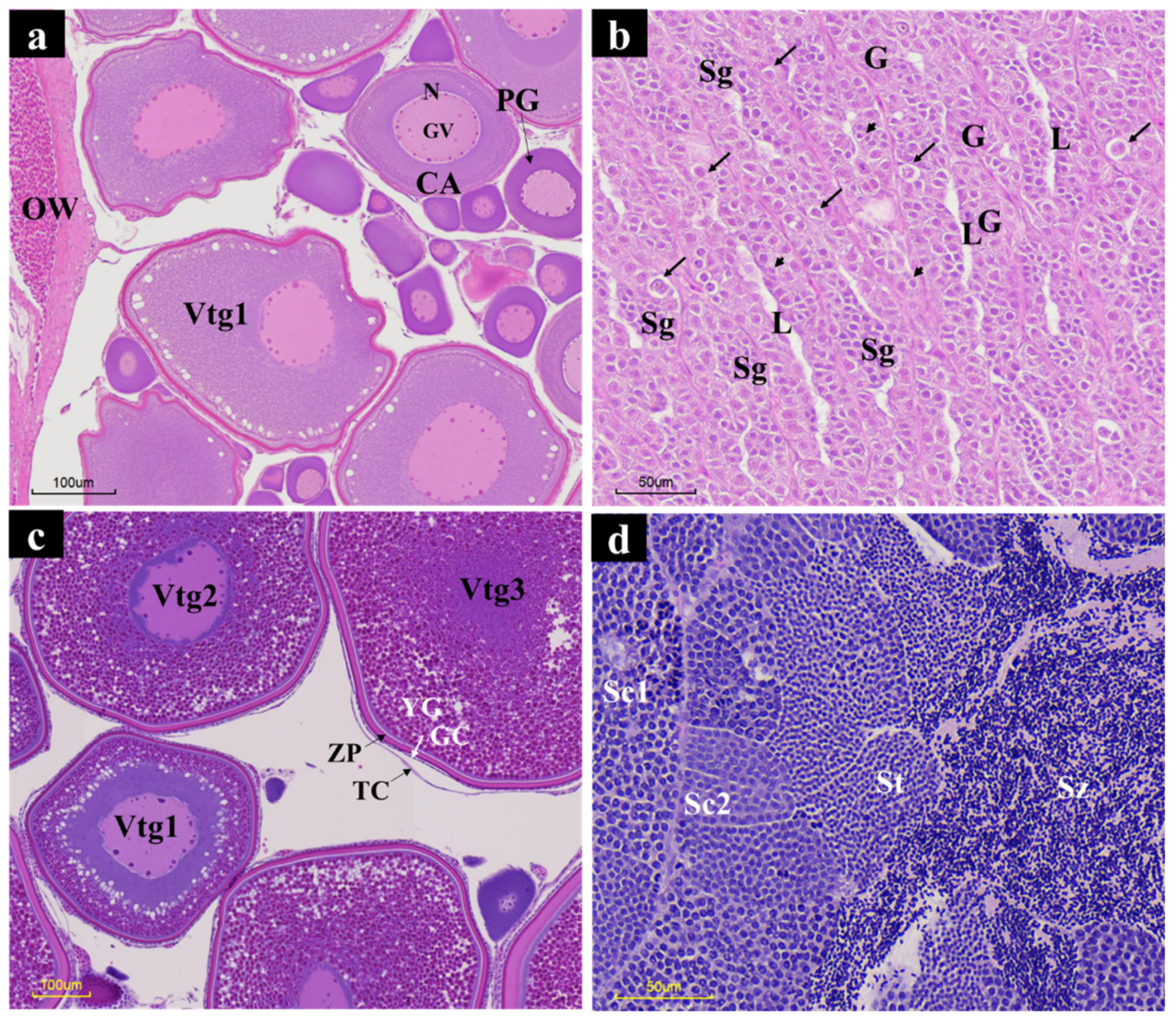 Fishes 10 00035 g003