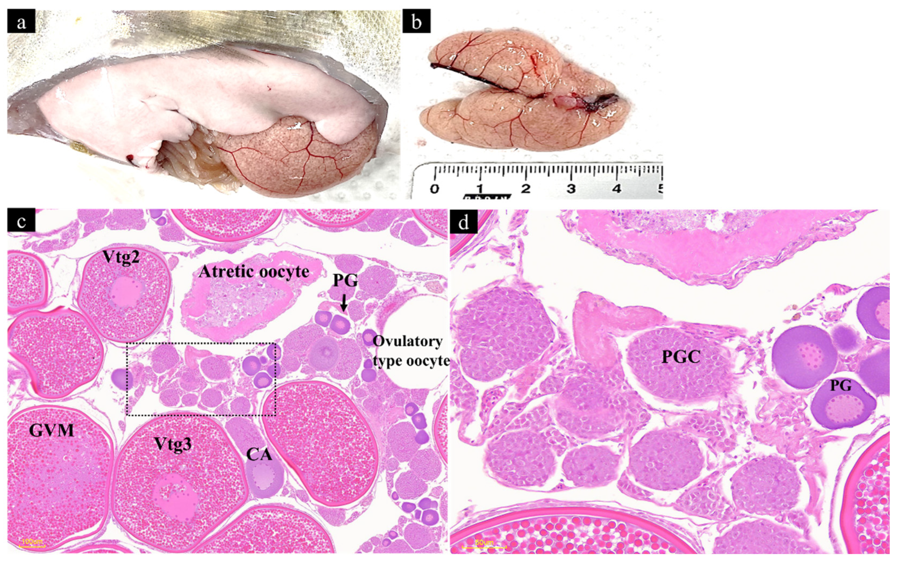 Fishes 10 00035 g005