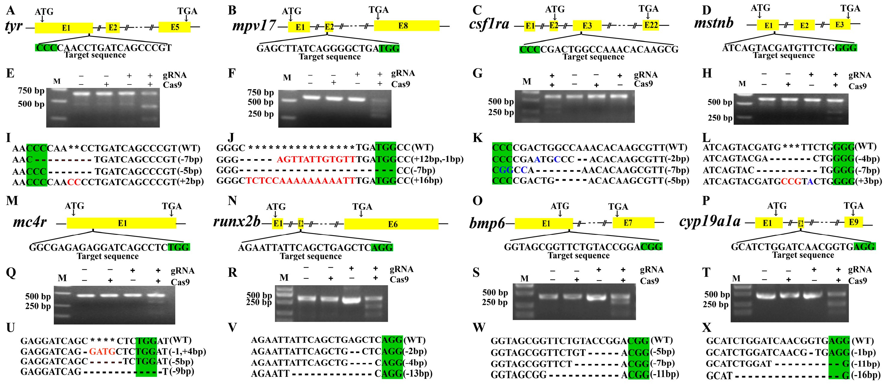 Fishes 10 00040 g001