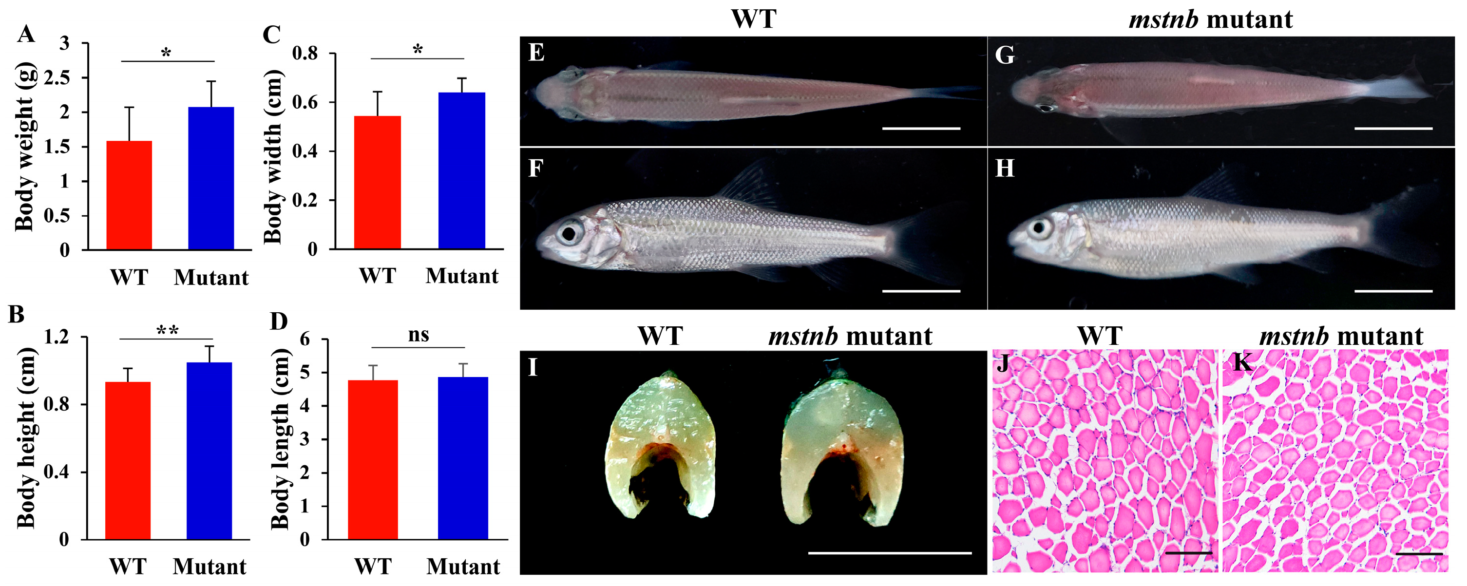 Fishes 10 00040 g004