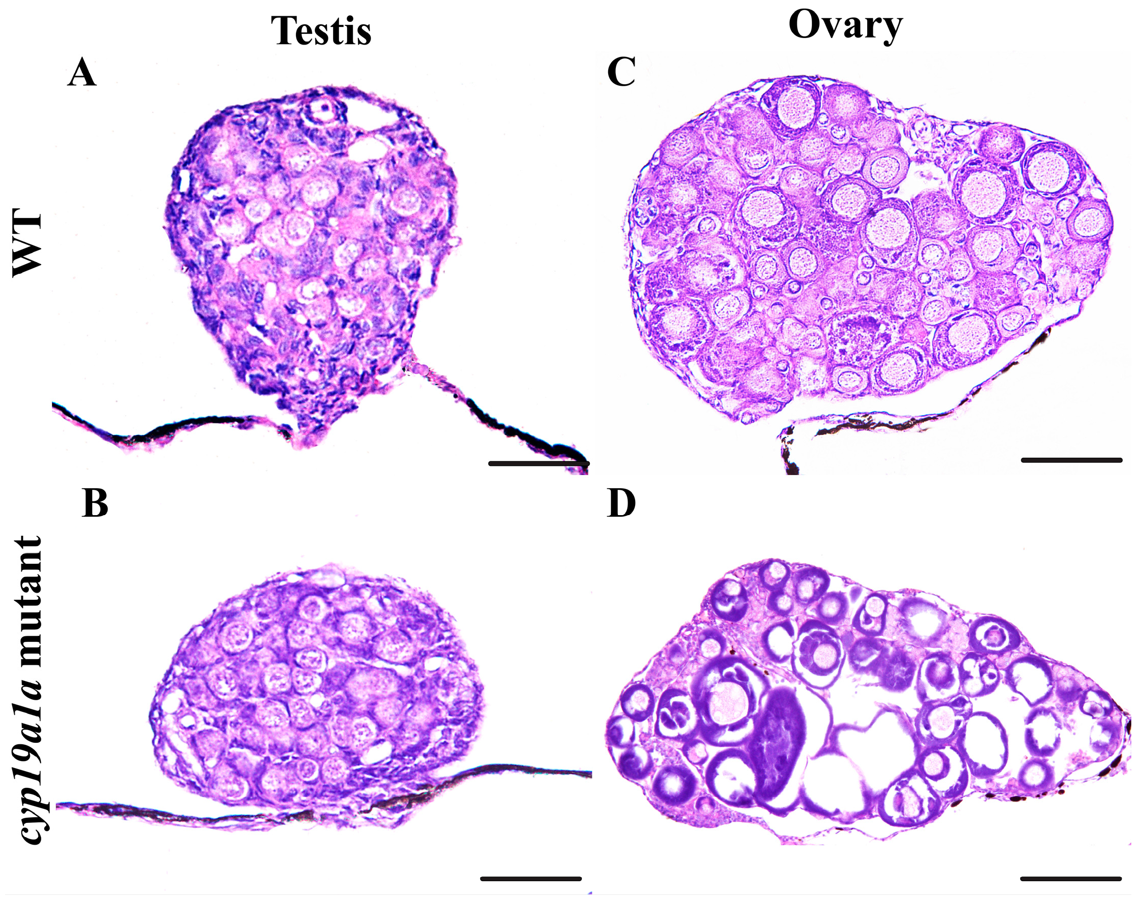 Fishes 10 00040 g006