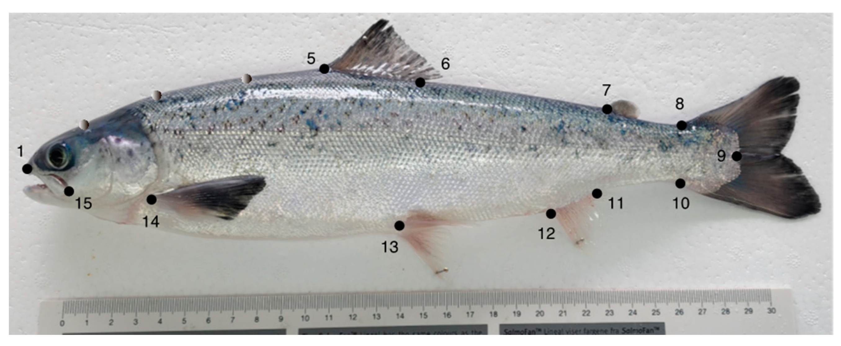 Fishes 10 00062 g001