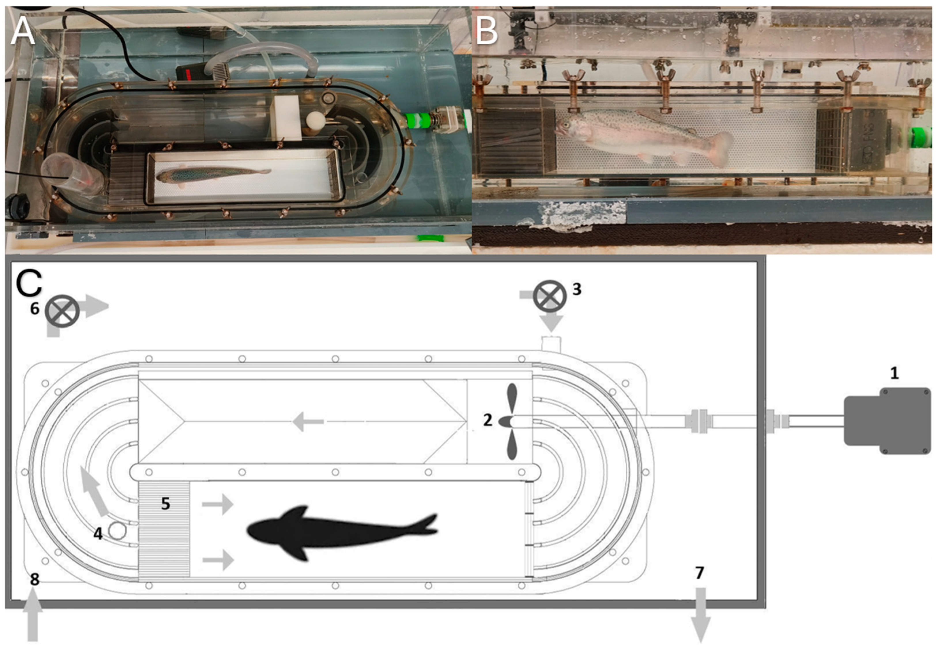 Fishes 10 00064 g002