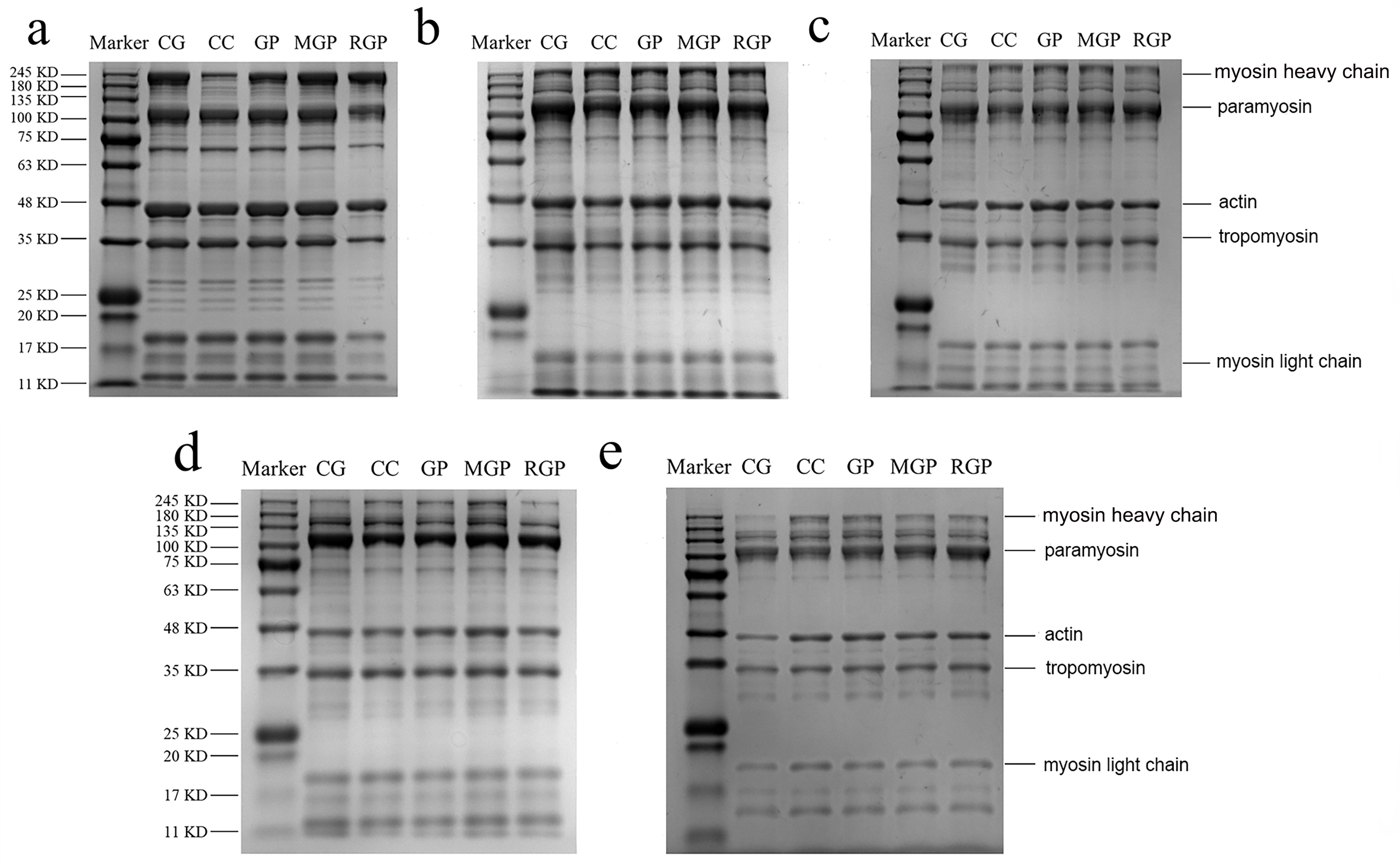 Fishes 10 00065 g005