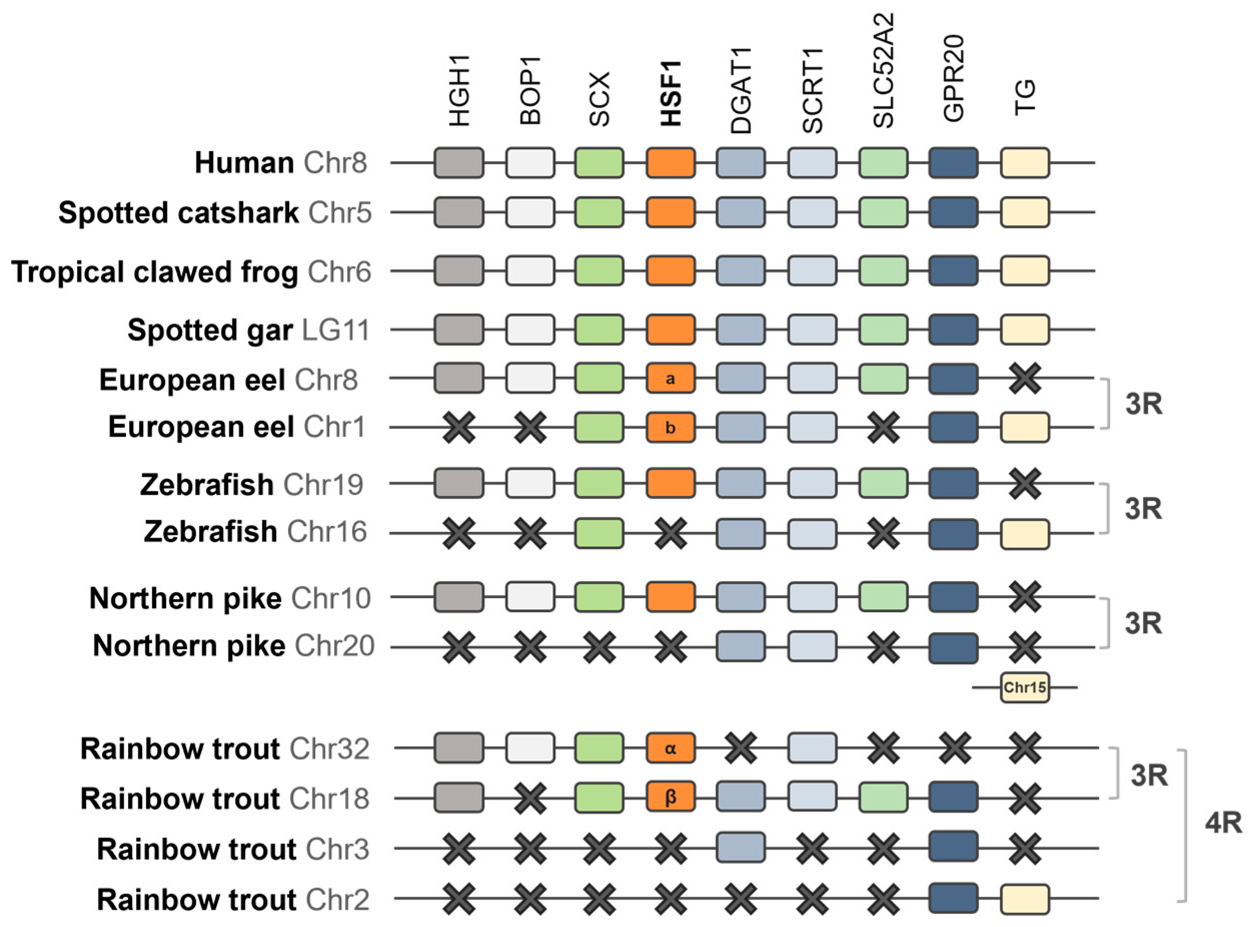 Fishes 10 00073 g003