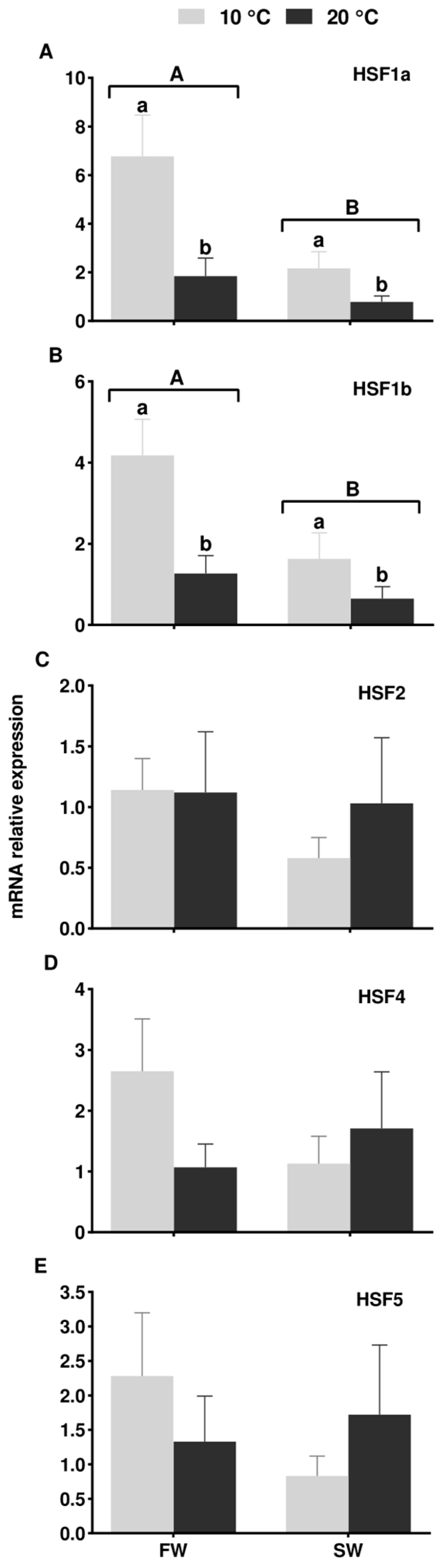 Fishes 10 00073 g009