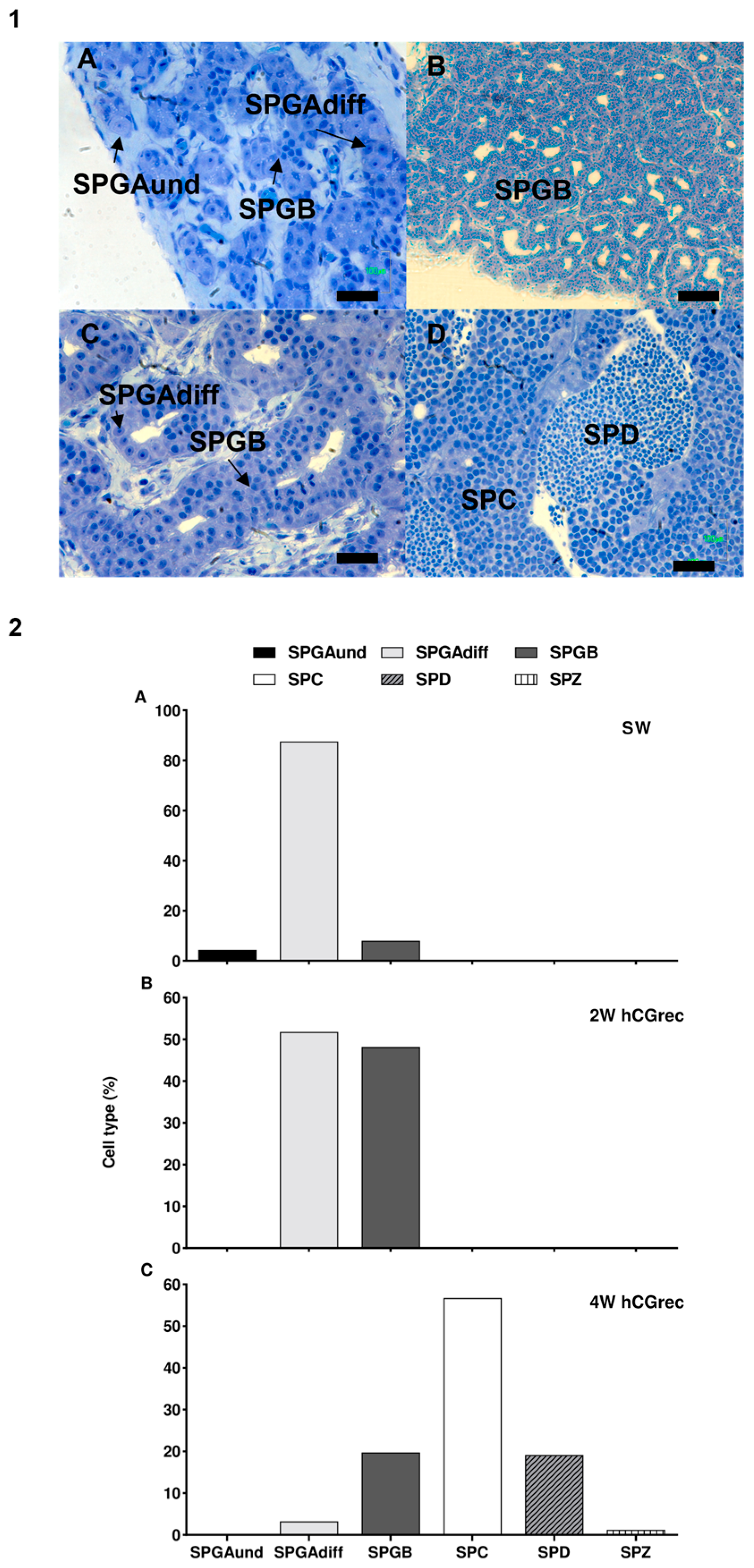 Fishes 10 00073 g011