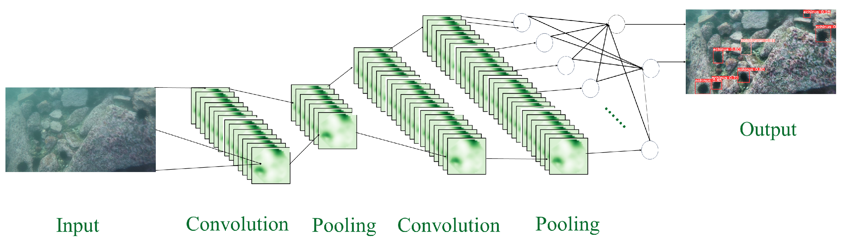 Fishes 10 00081 g002