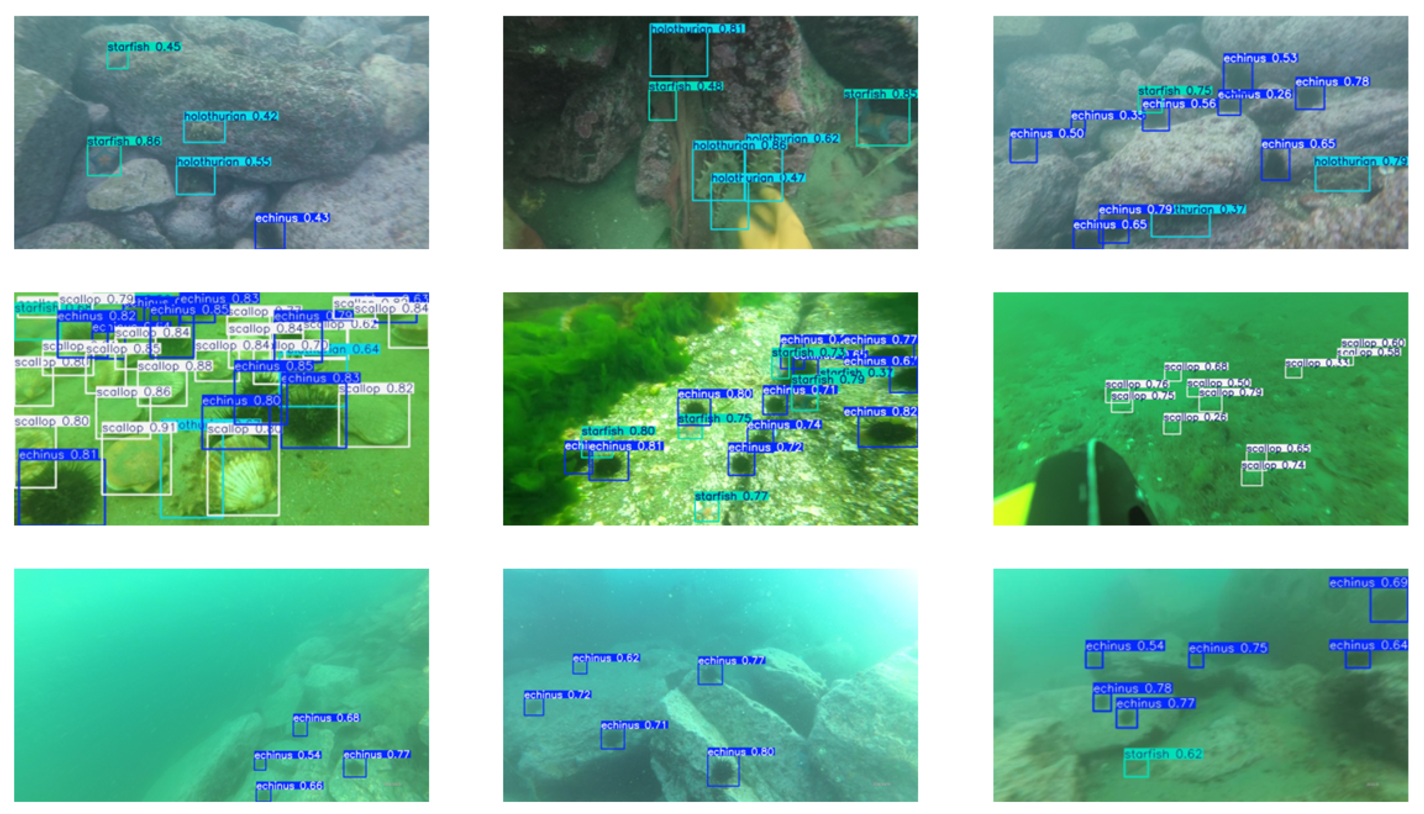 Fishes 10 00081 g016