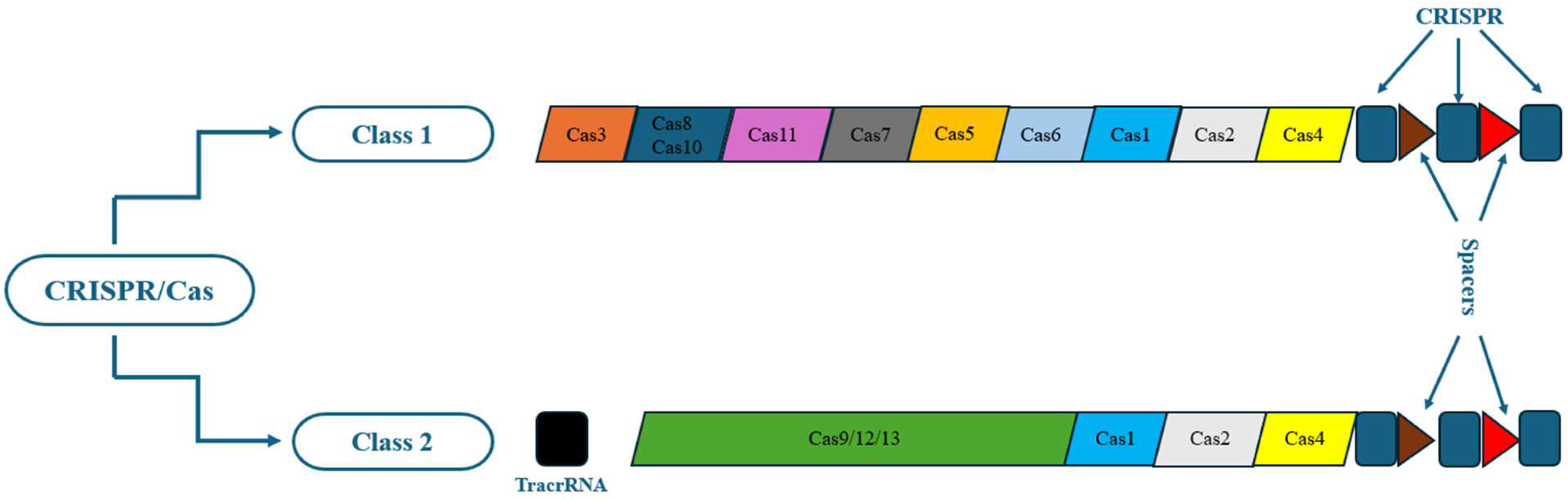 Fishes 10 00084 g001