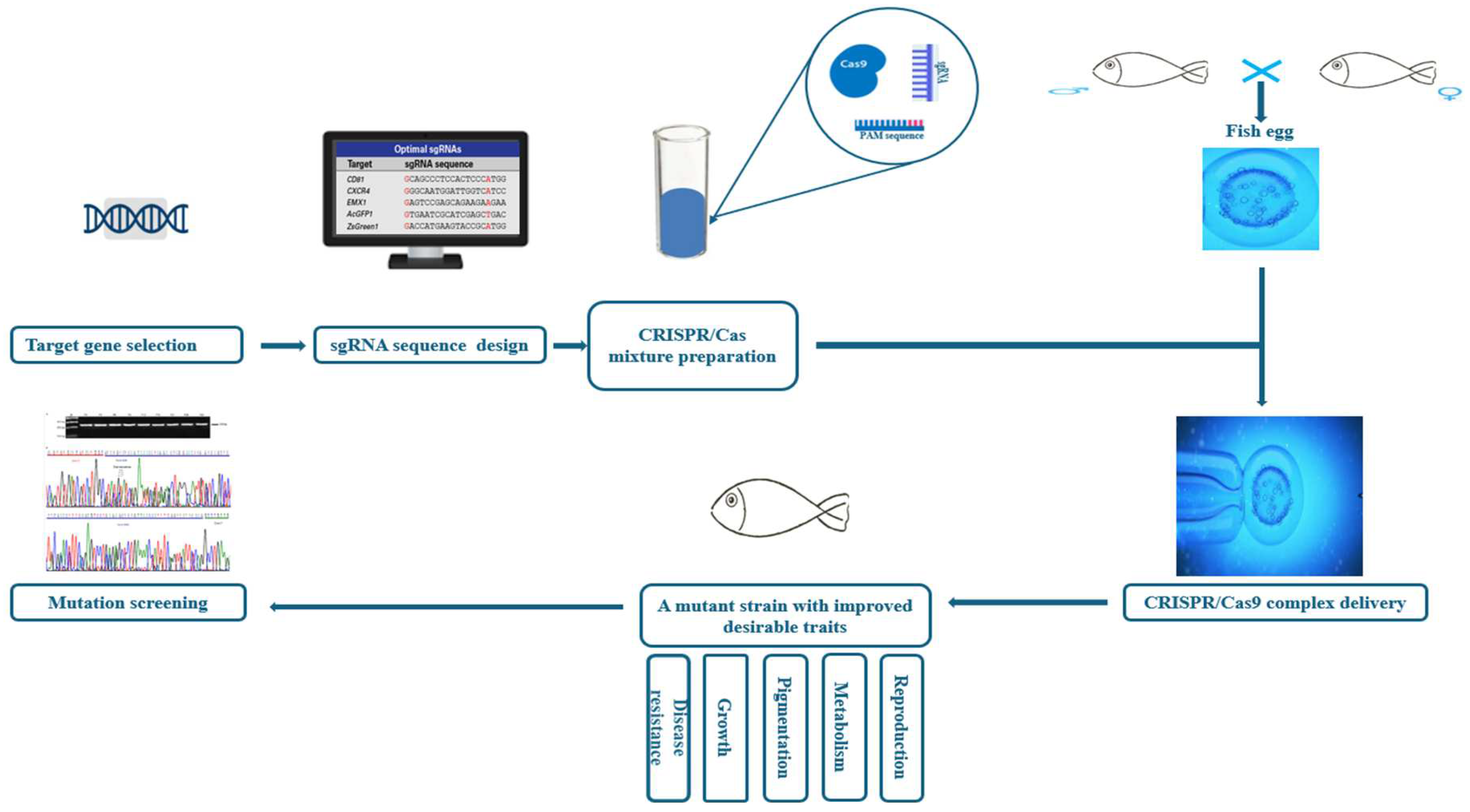 Fishes 10 00084 g002