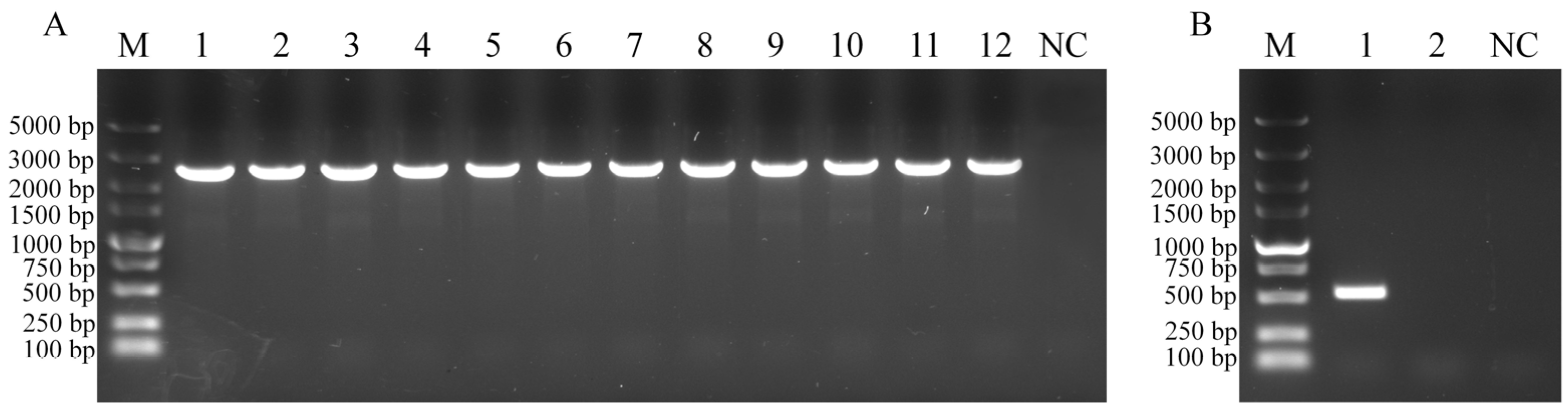 Fishes 10 00086 g001