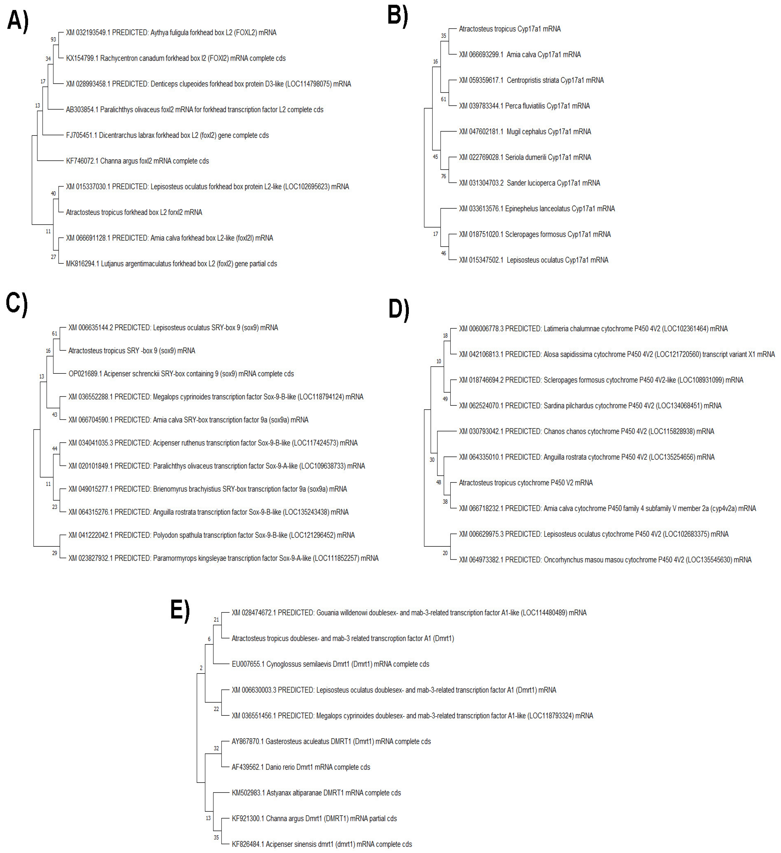Fishes 10 00094 g001 Fishes 10 00094 g001