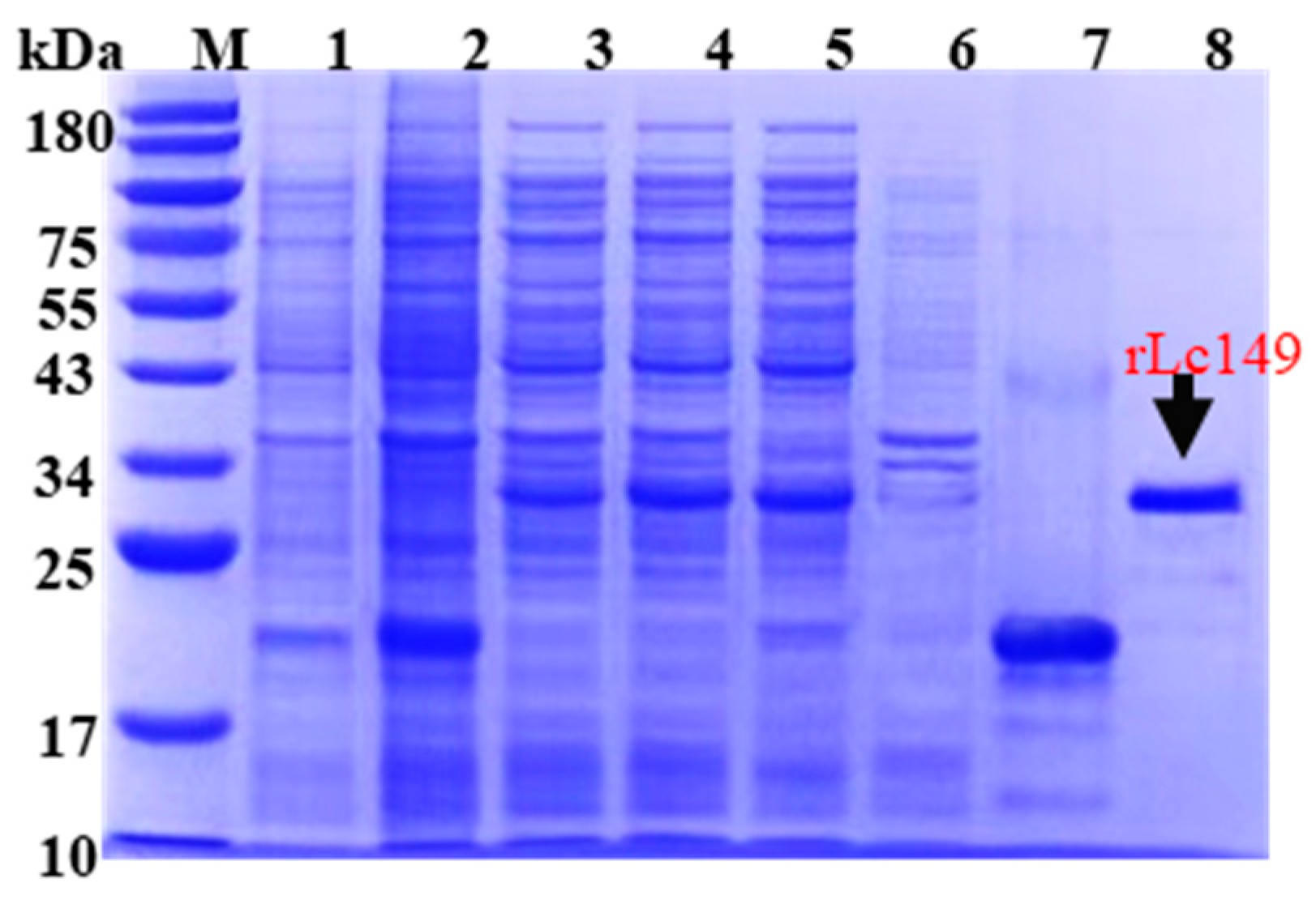 Fishes 10 00109 g003