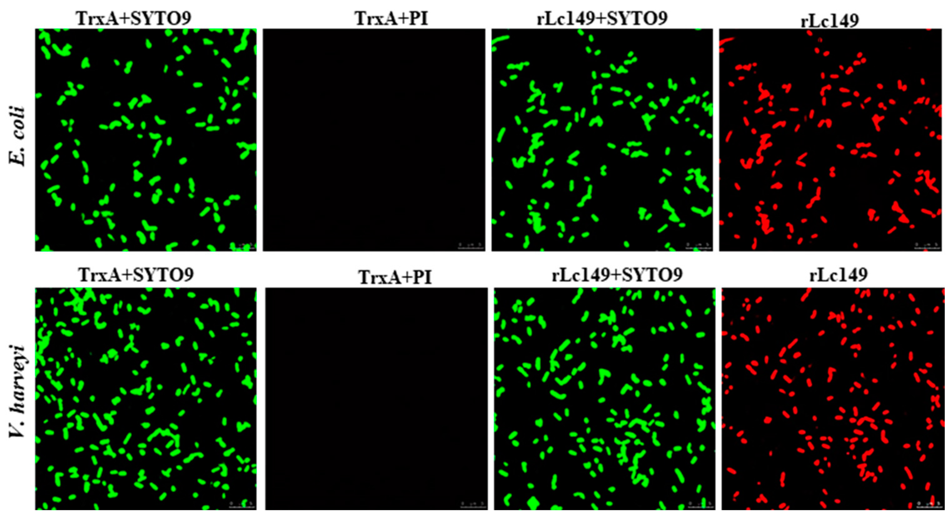 Fishes 10 00109 g009