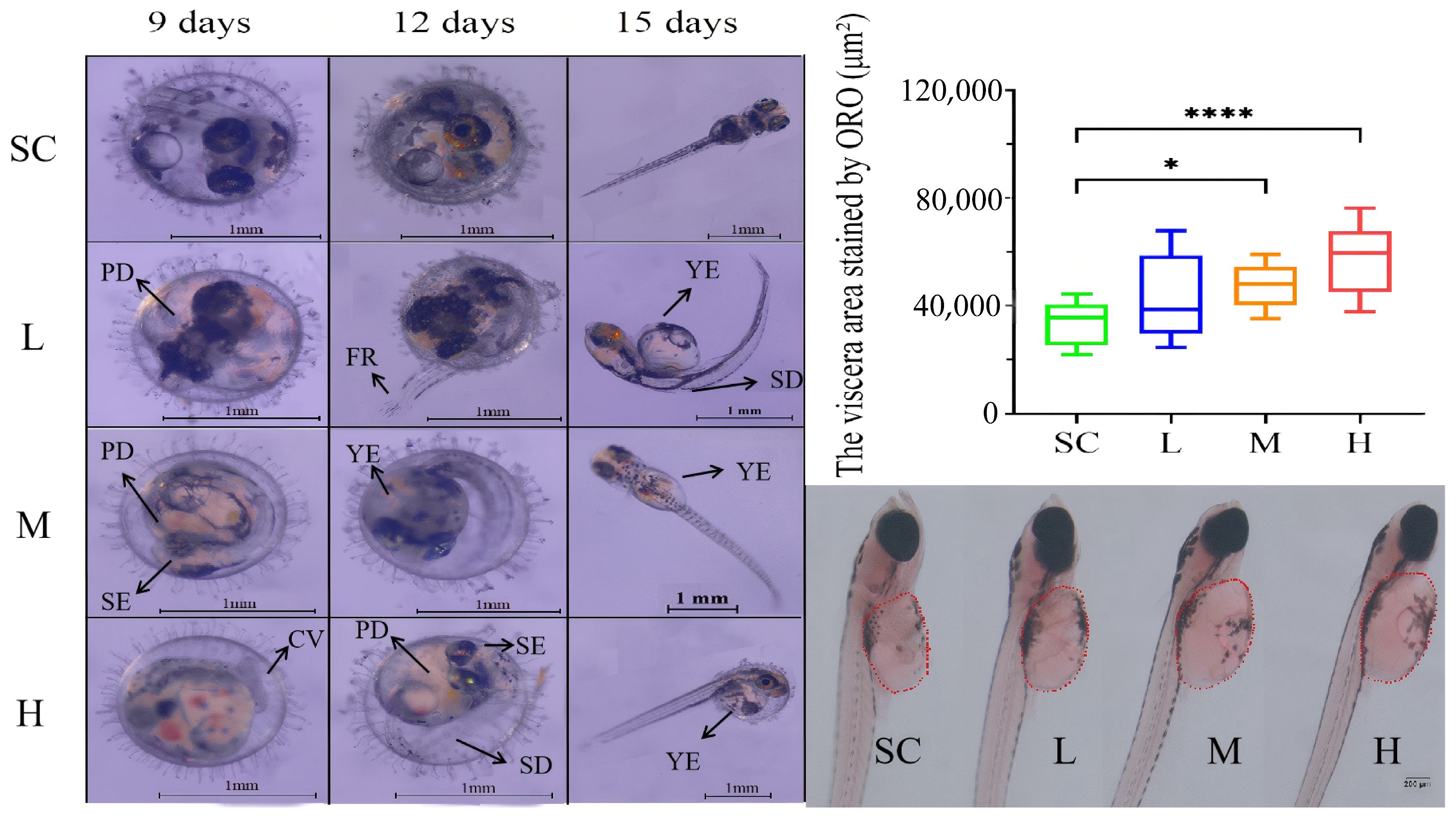 Fishes 10 00120 g002