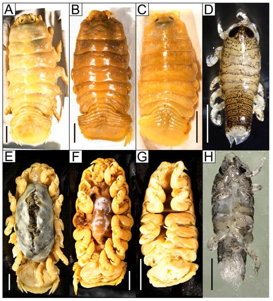 Fishes 10 00126 g001