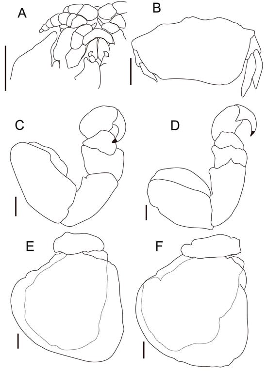 Fishes 10 00126 g003