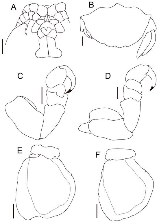 Fishes 10 00126 g004