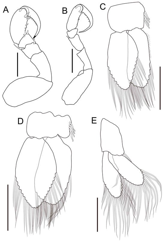 Fishes 10 00126 g006