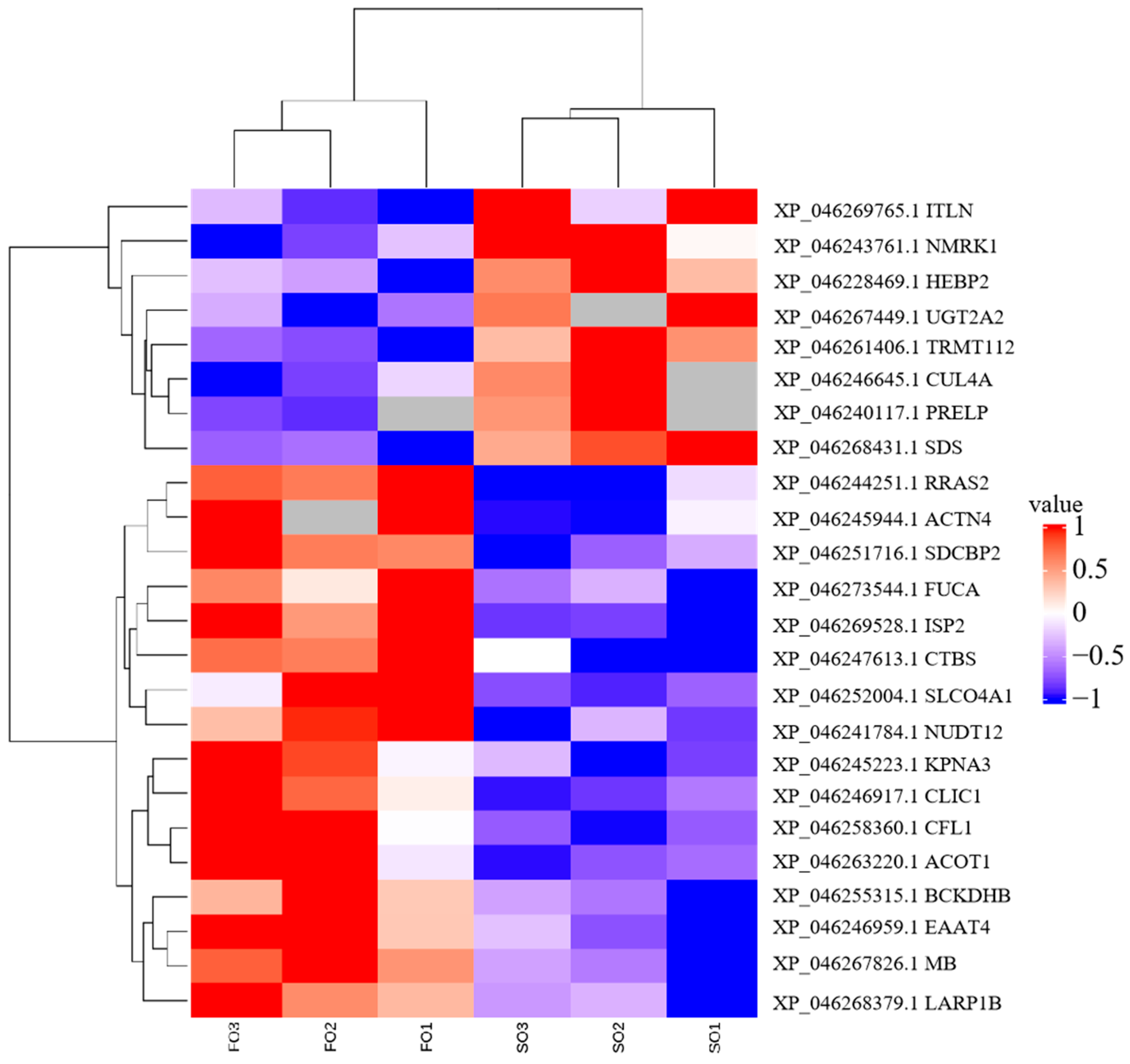 Fishes 10 00128 g002