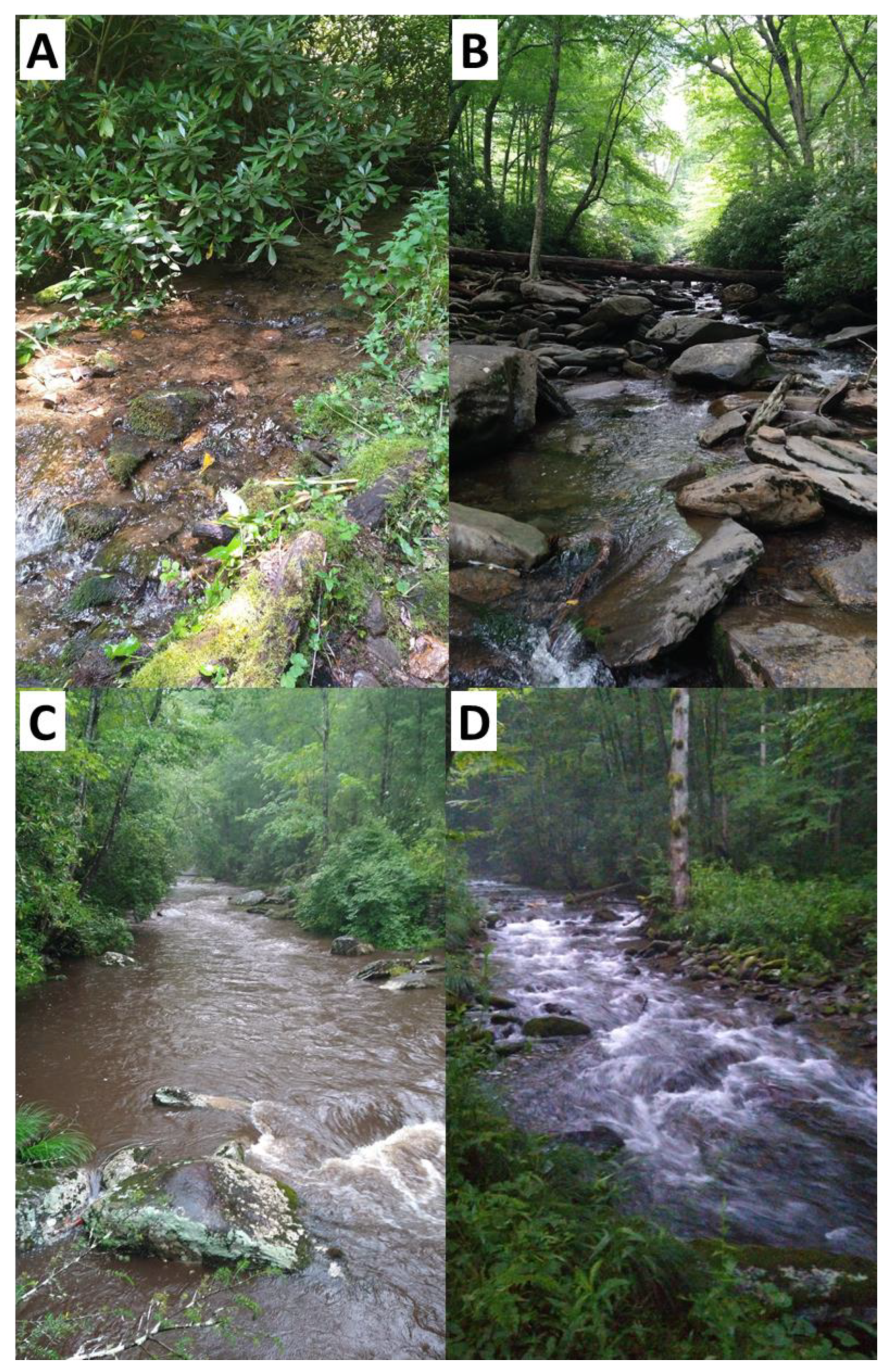 Fishes 10 00145 g002