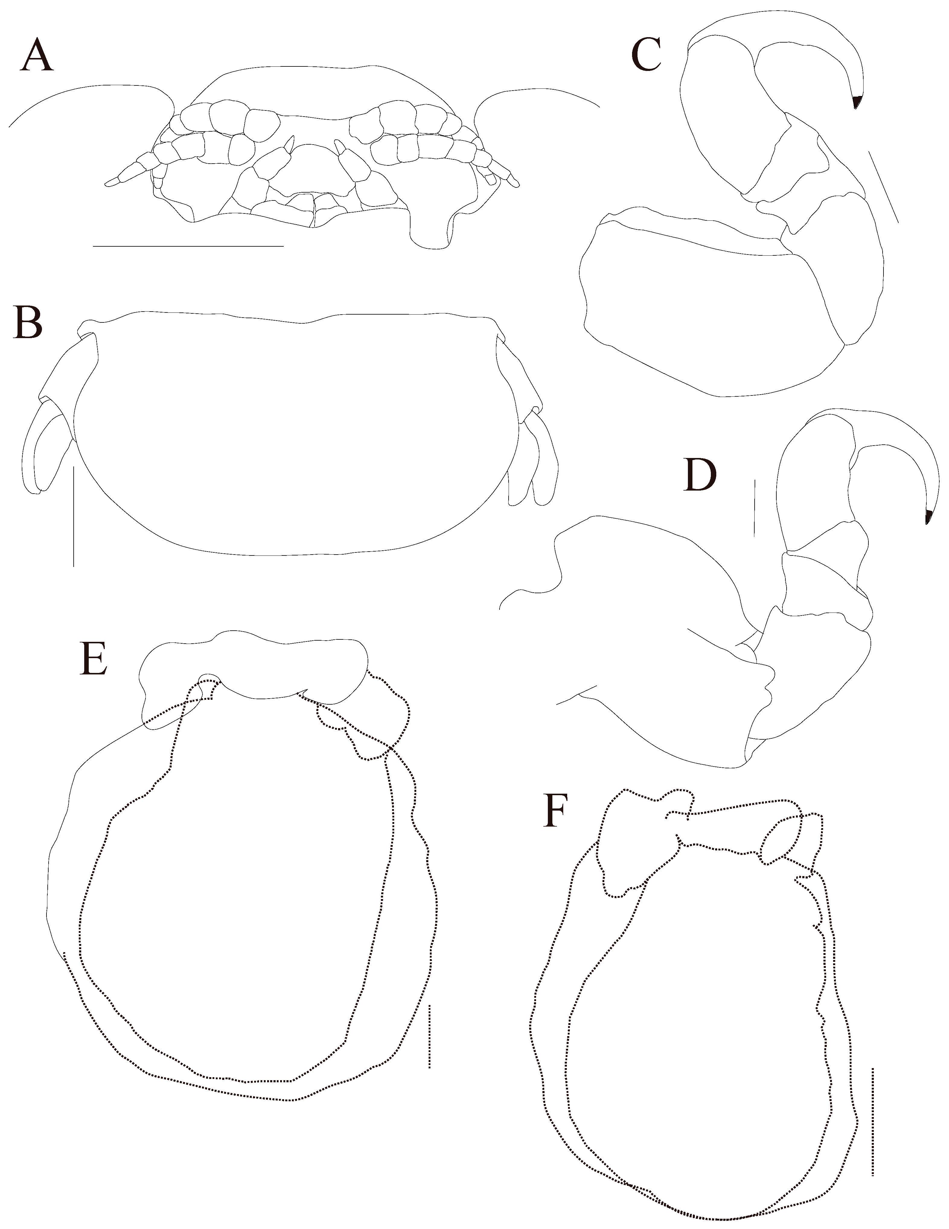 Fishes 10 00155 g004