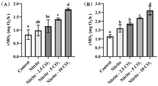 Fishes 10 00205 g0a2