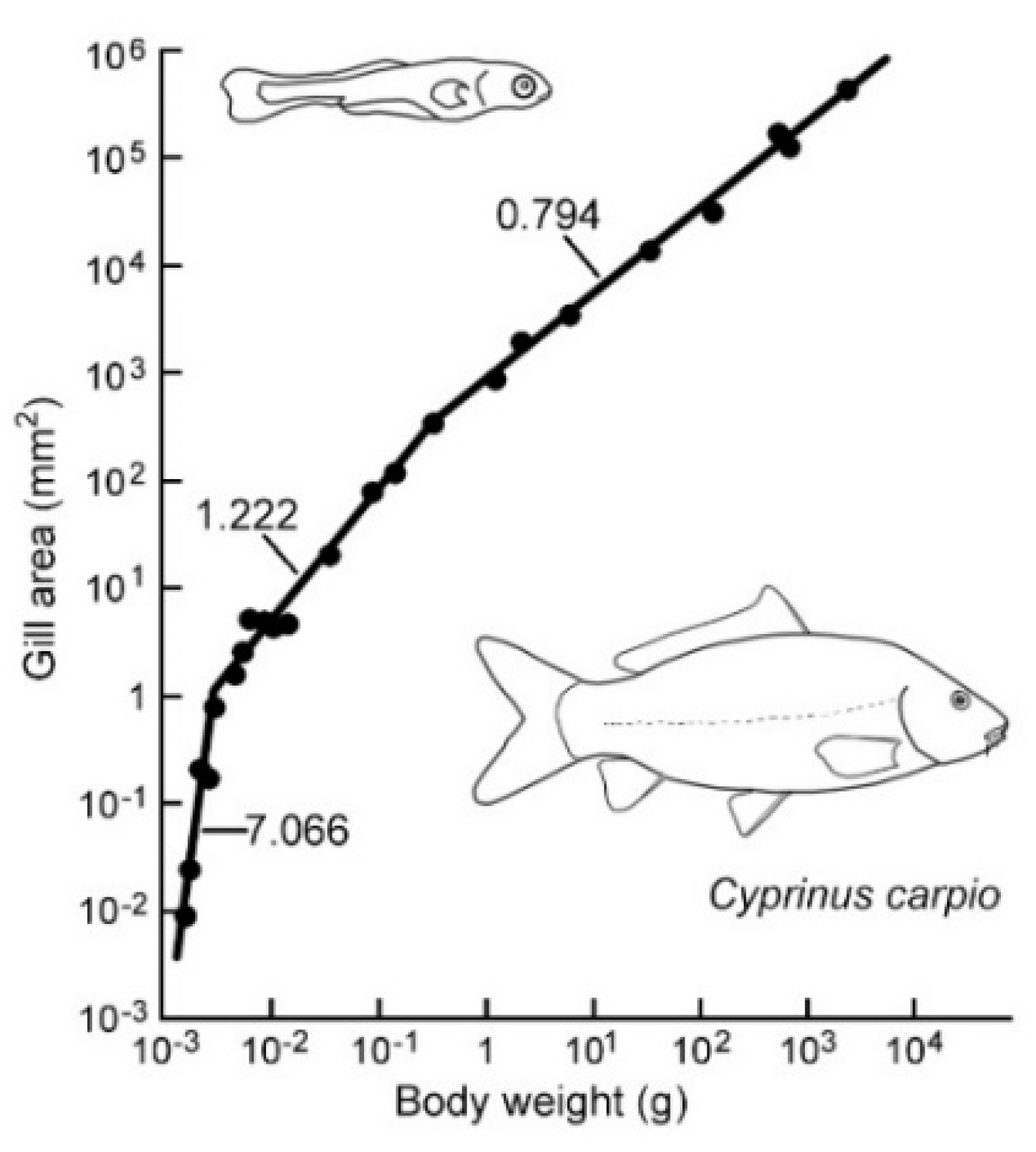 Fishes 10 00233 g004 Fishes 10 00233 g004