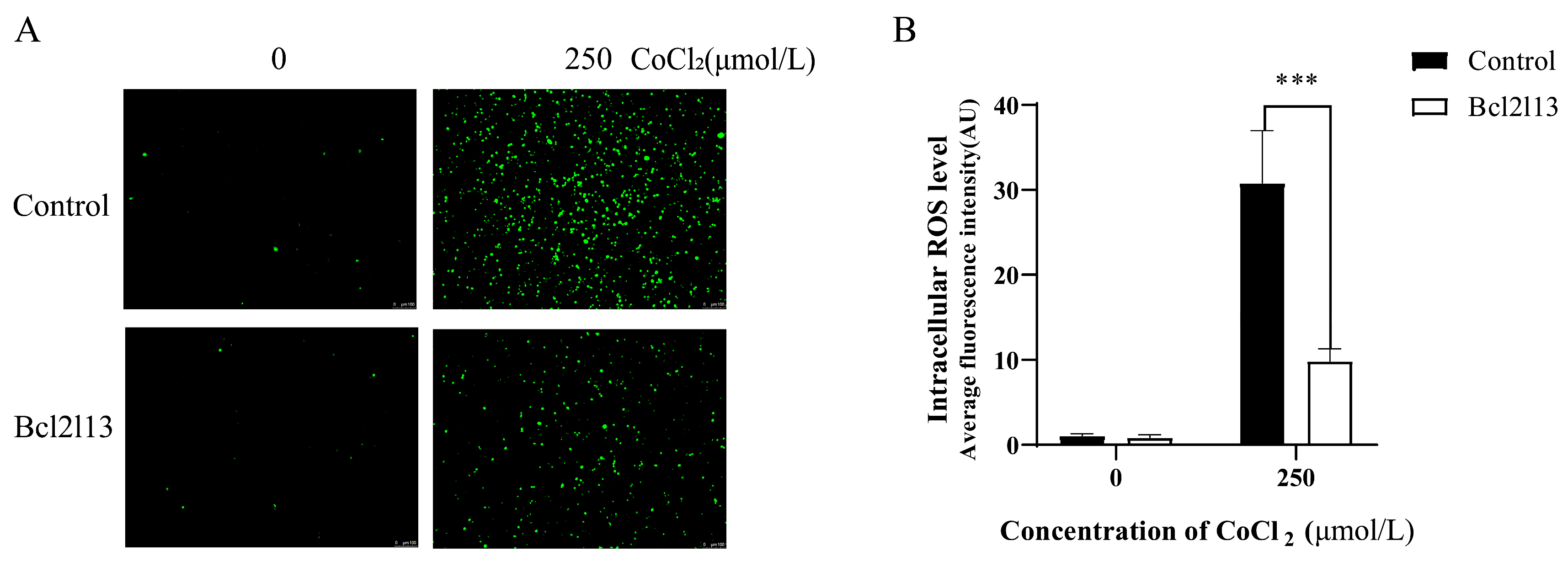 Fishes 10 00247 g001
