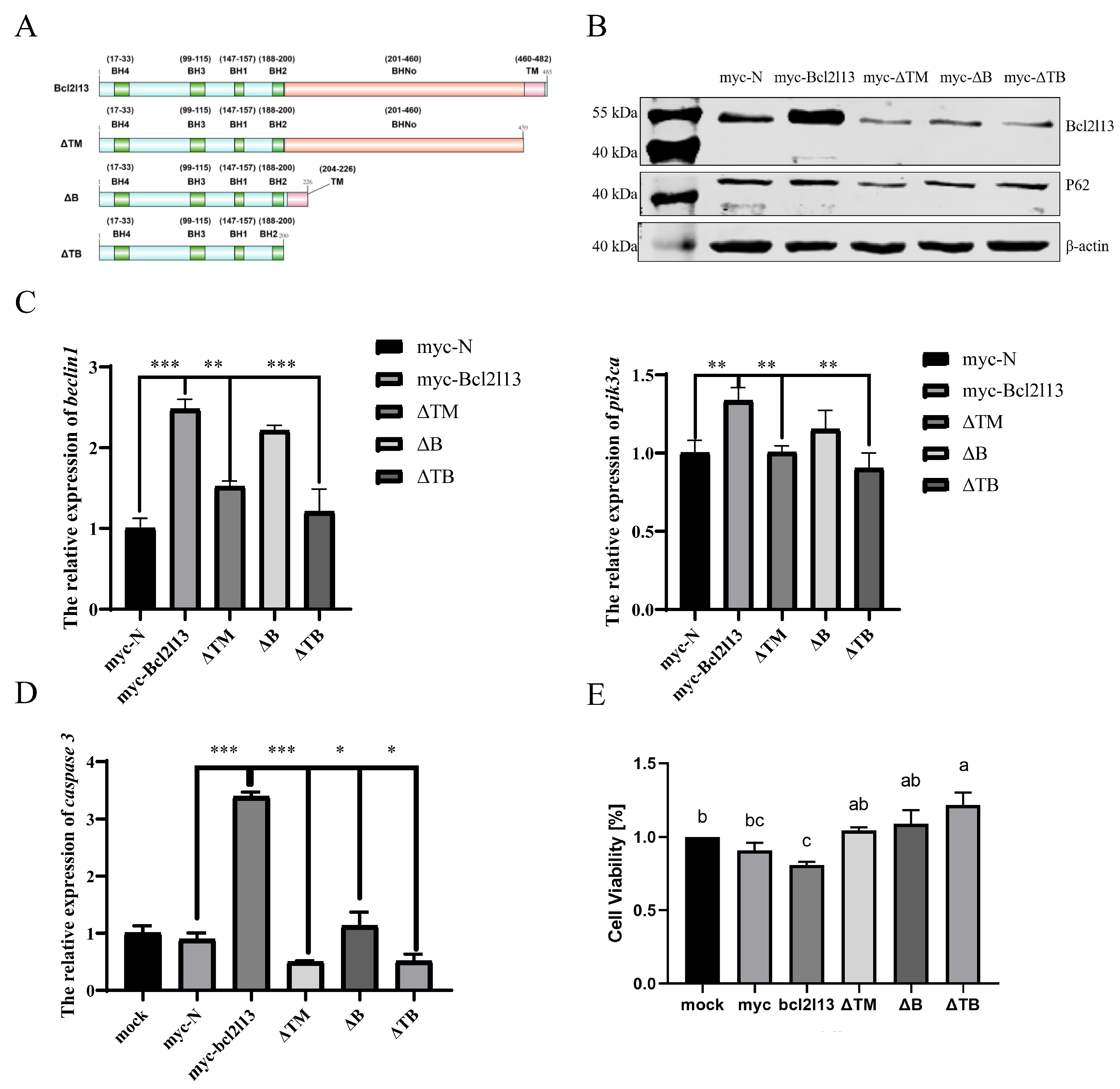 Fishes 10 00247 g003