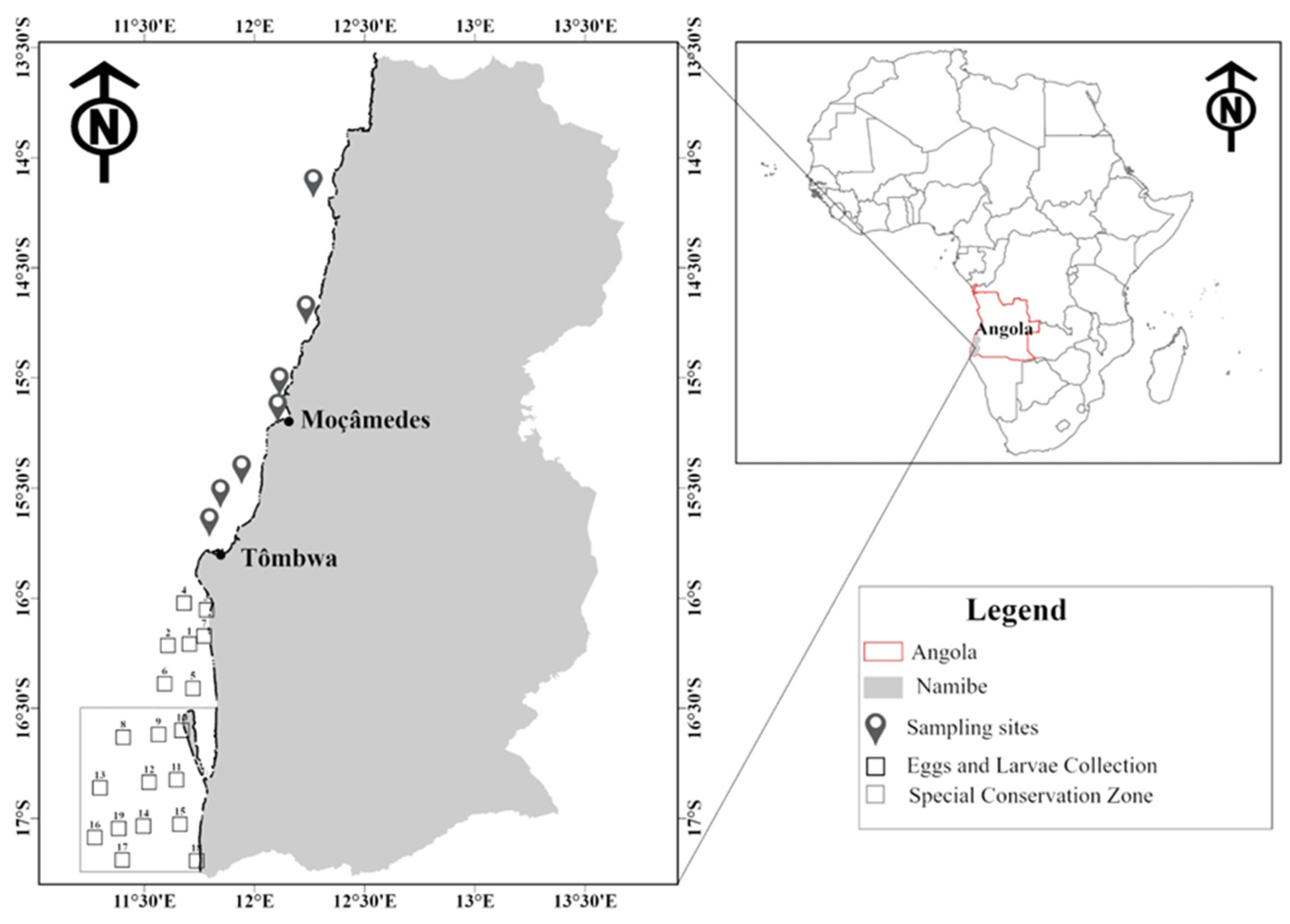 Fishes 10 00261 g001