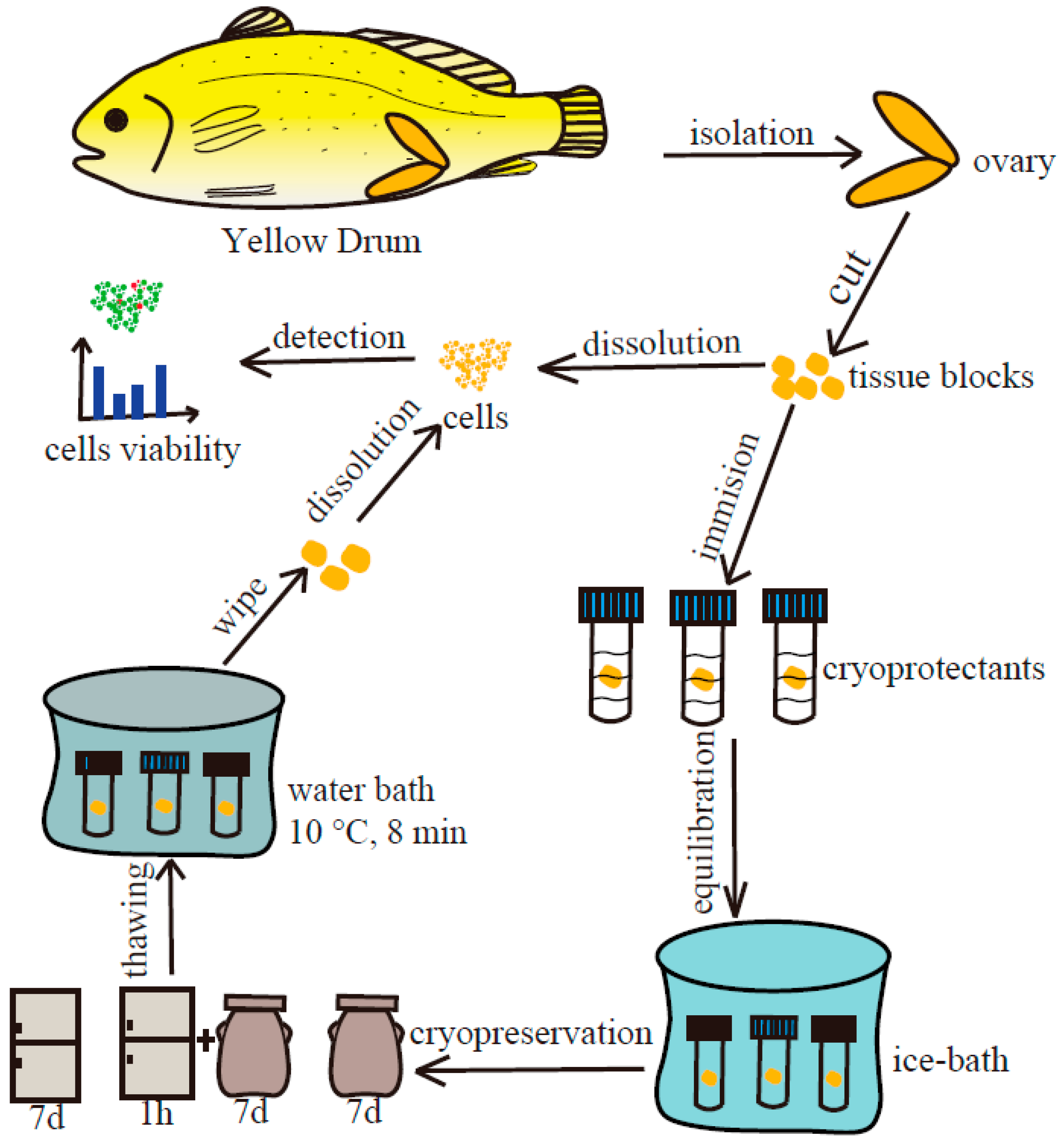 Fishes 10 00288 g005 Fishes 10 00288 g005