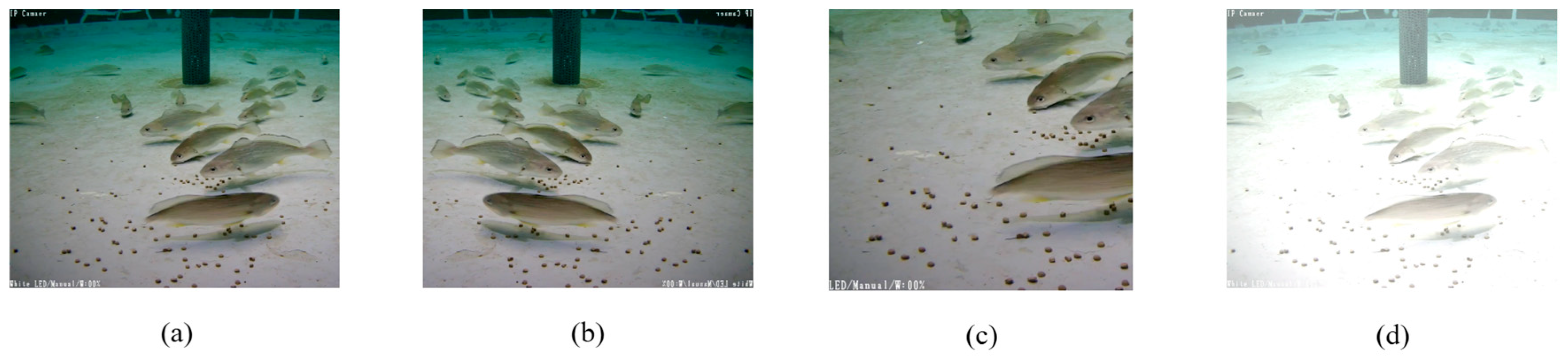 Fishes 10 00294 g001