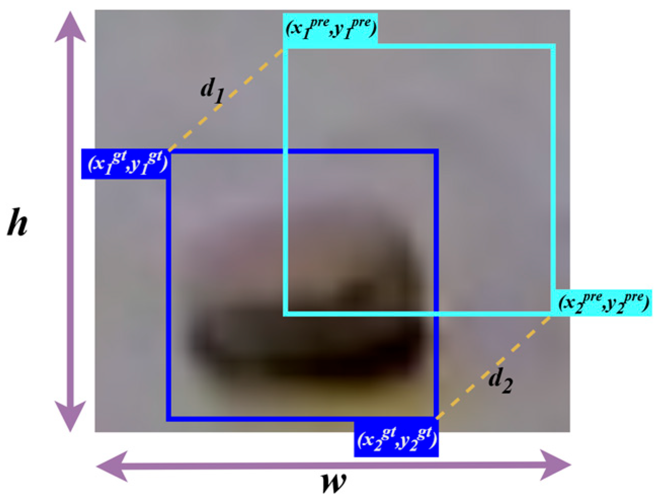Fishes 10 00294 g004