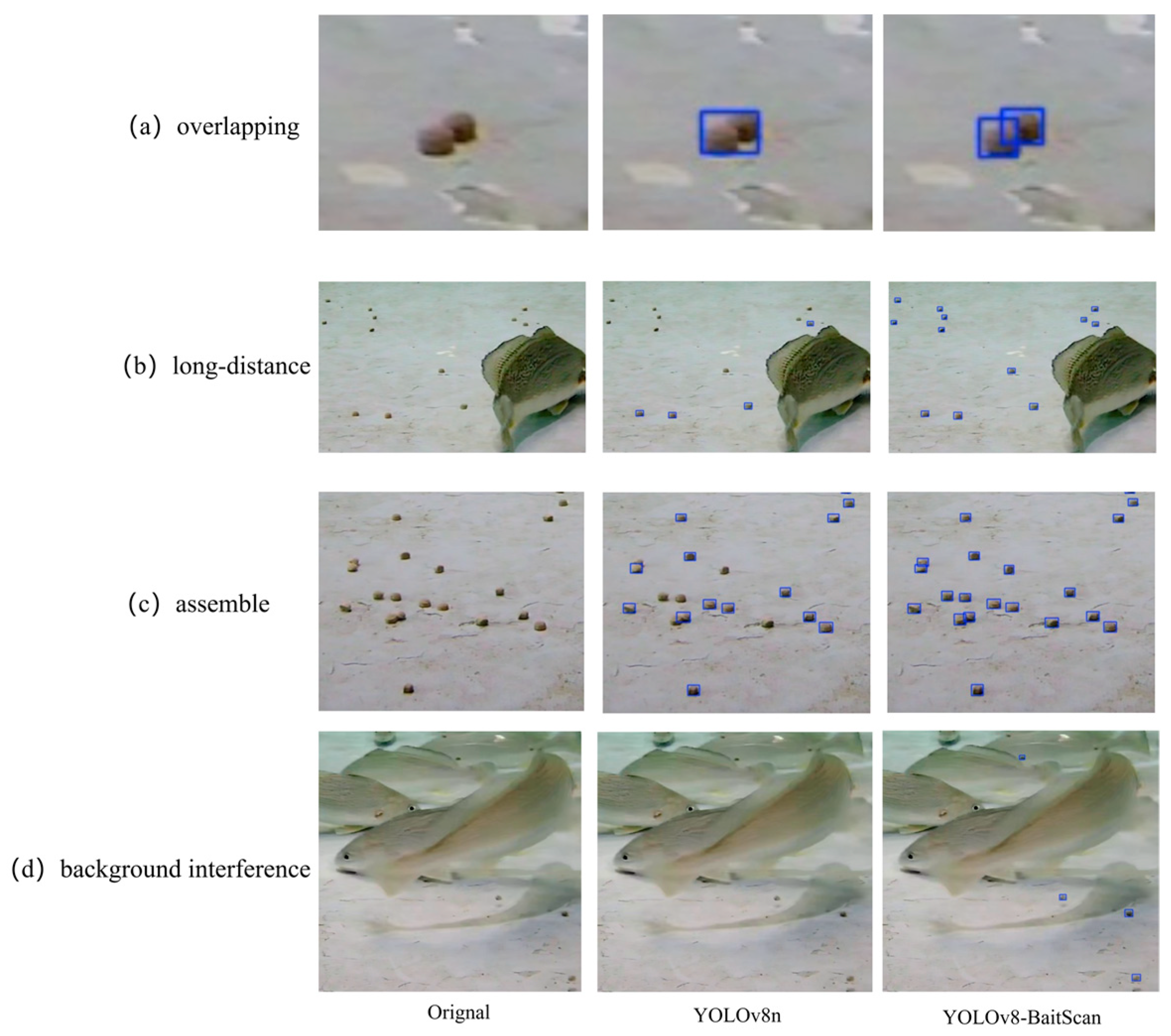 Fishes 10 00294 g014