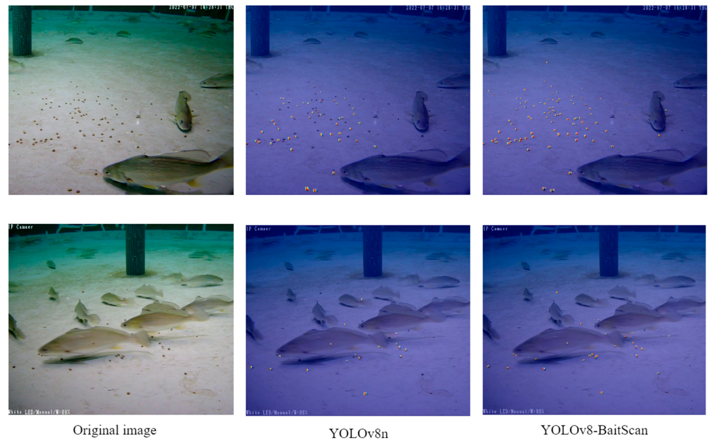 Fishes 10 00294 g015