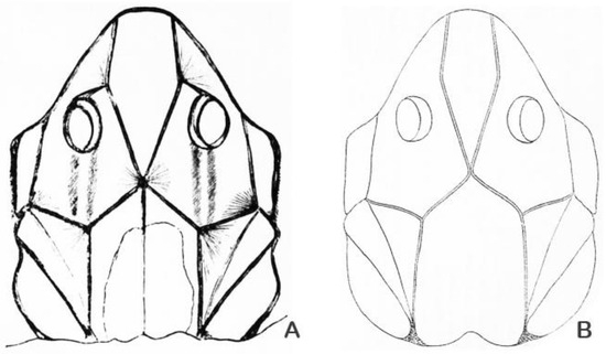 Fishes 10 00309 g003