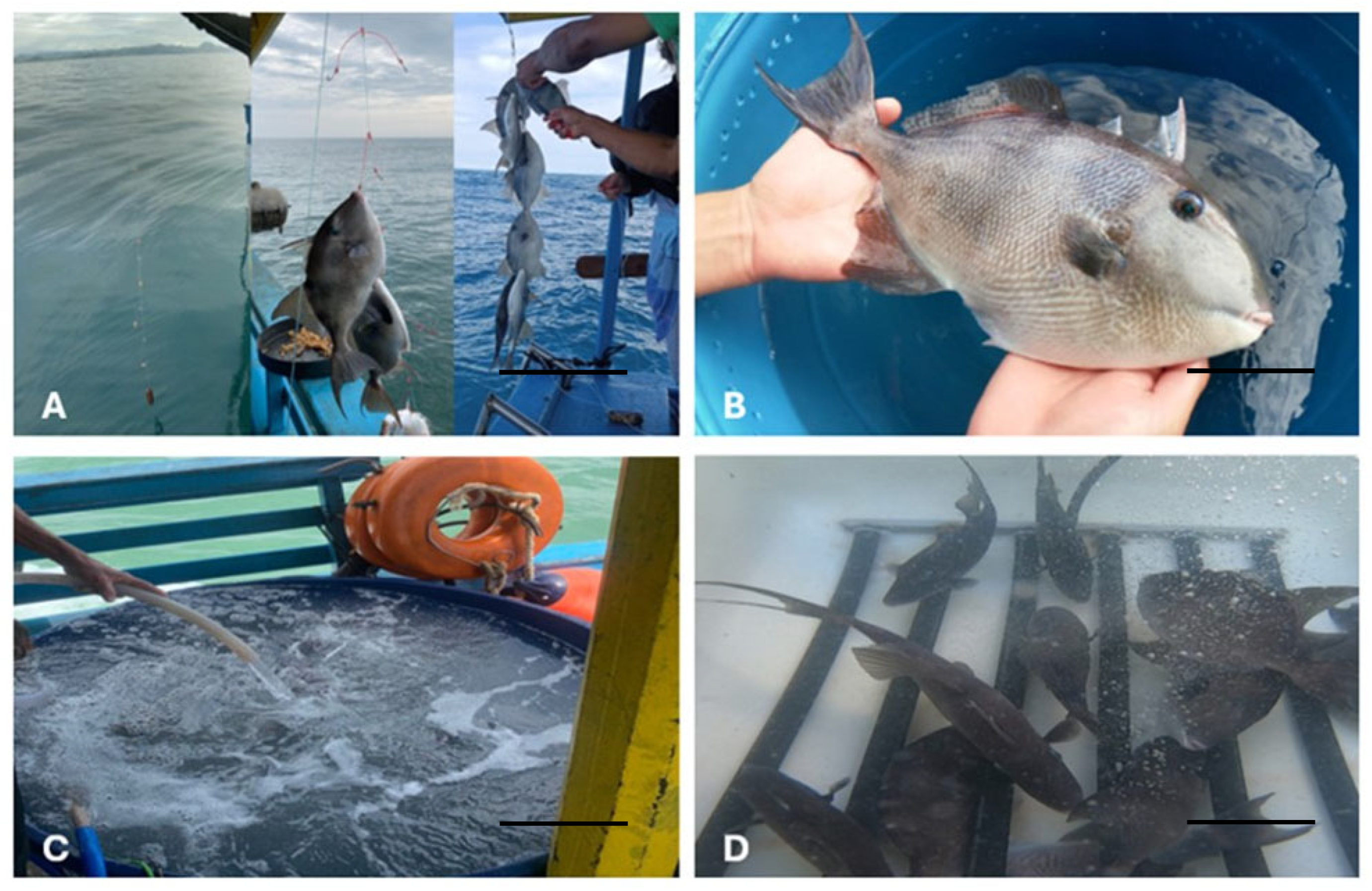 Fishes 10 00316 g002