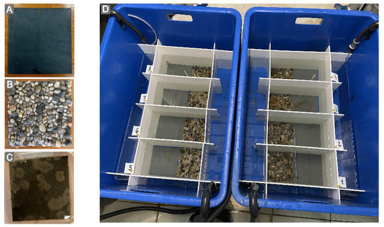 Fishes 10 00319 g002