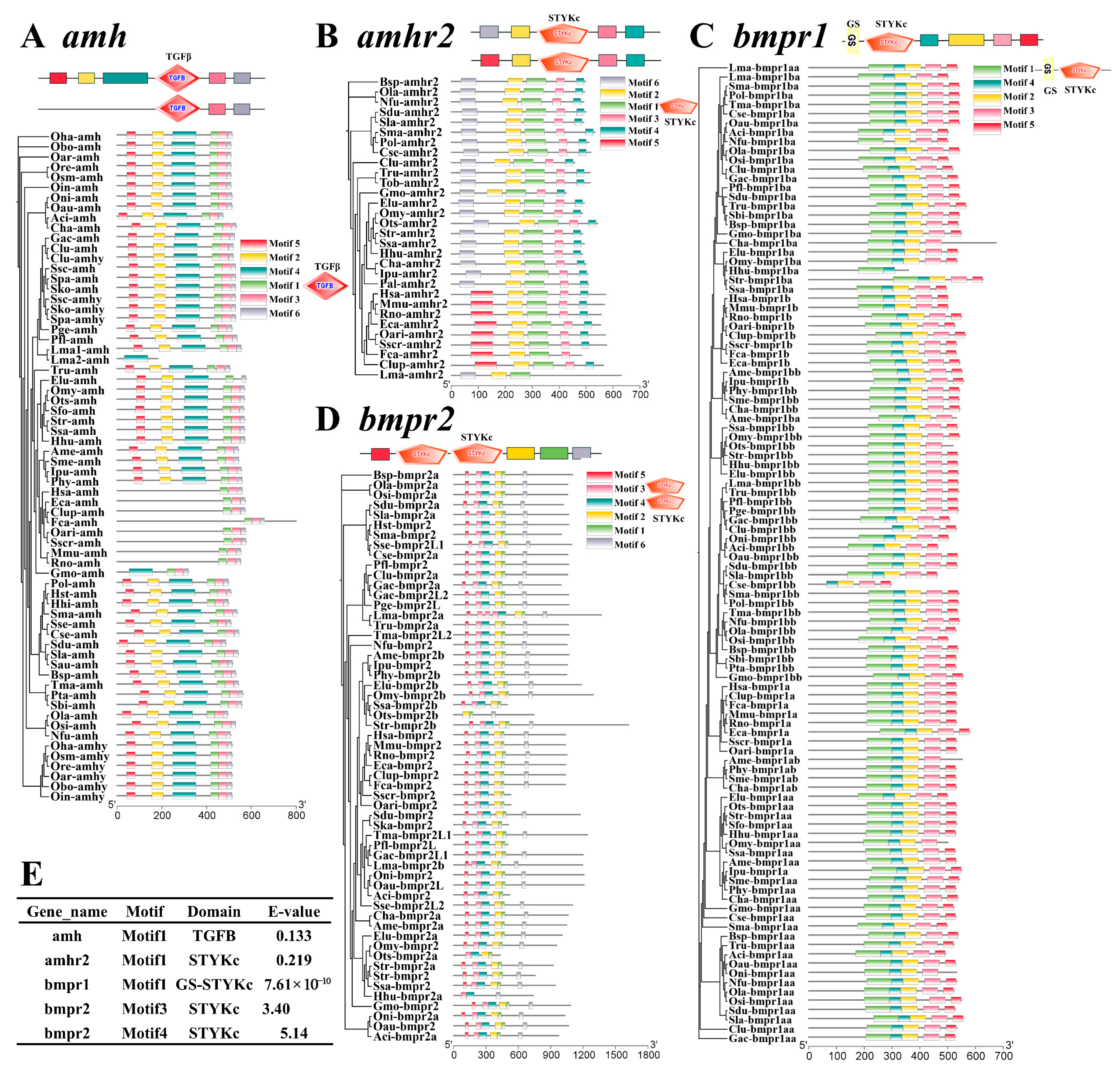Fishes 10 00327 g002