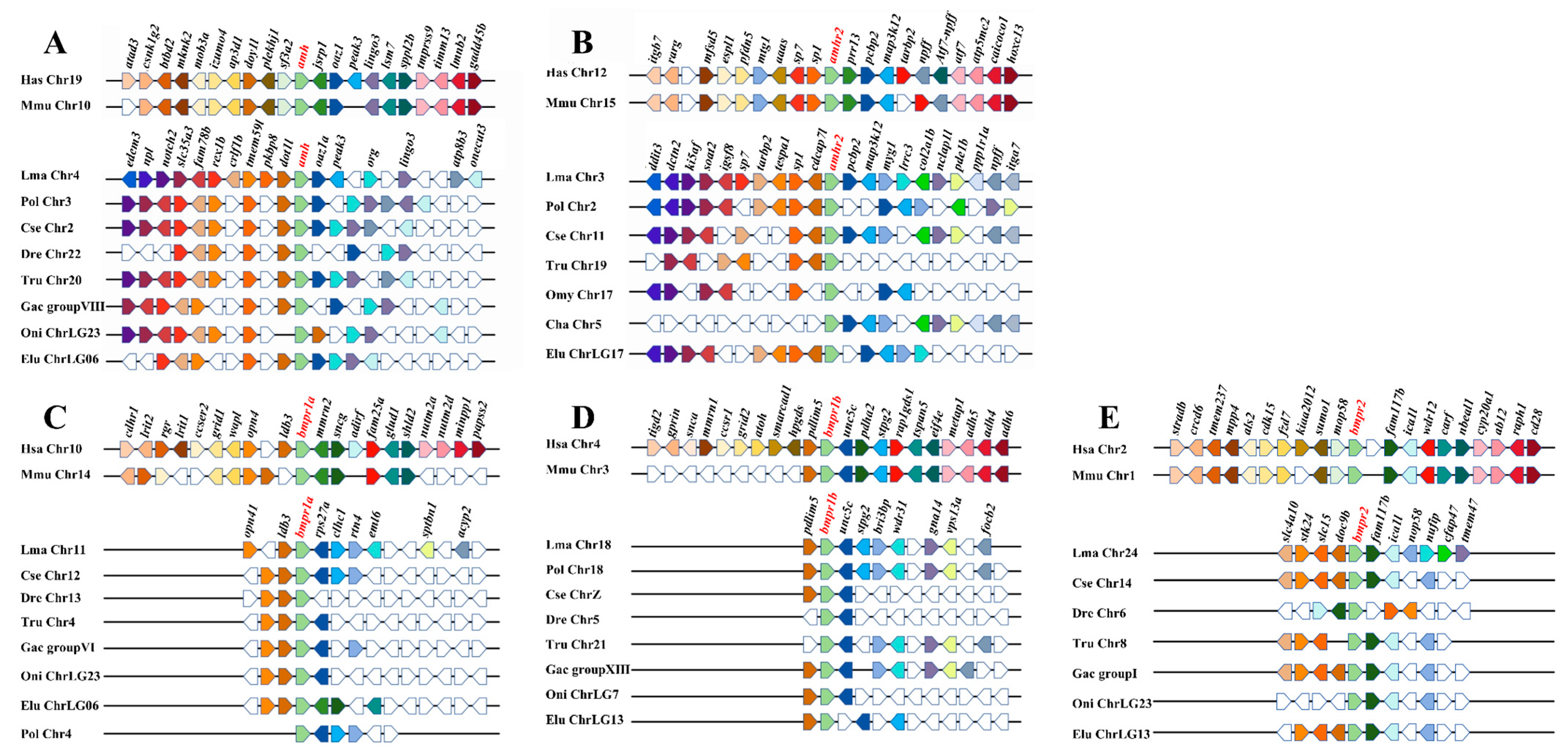 Fishes 10 00327 g003