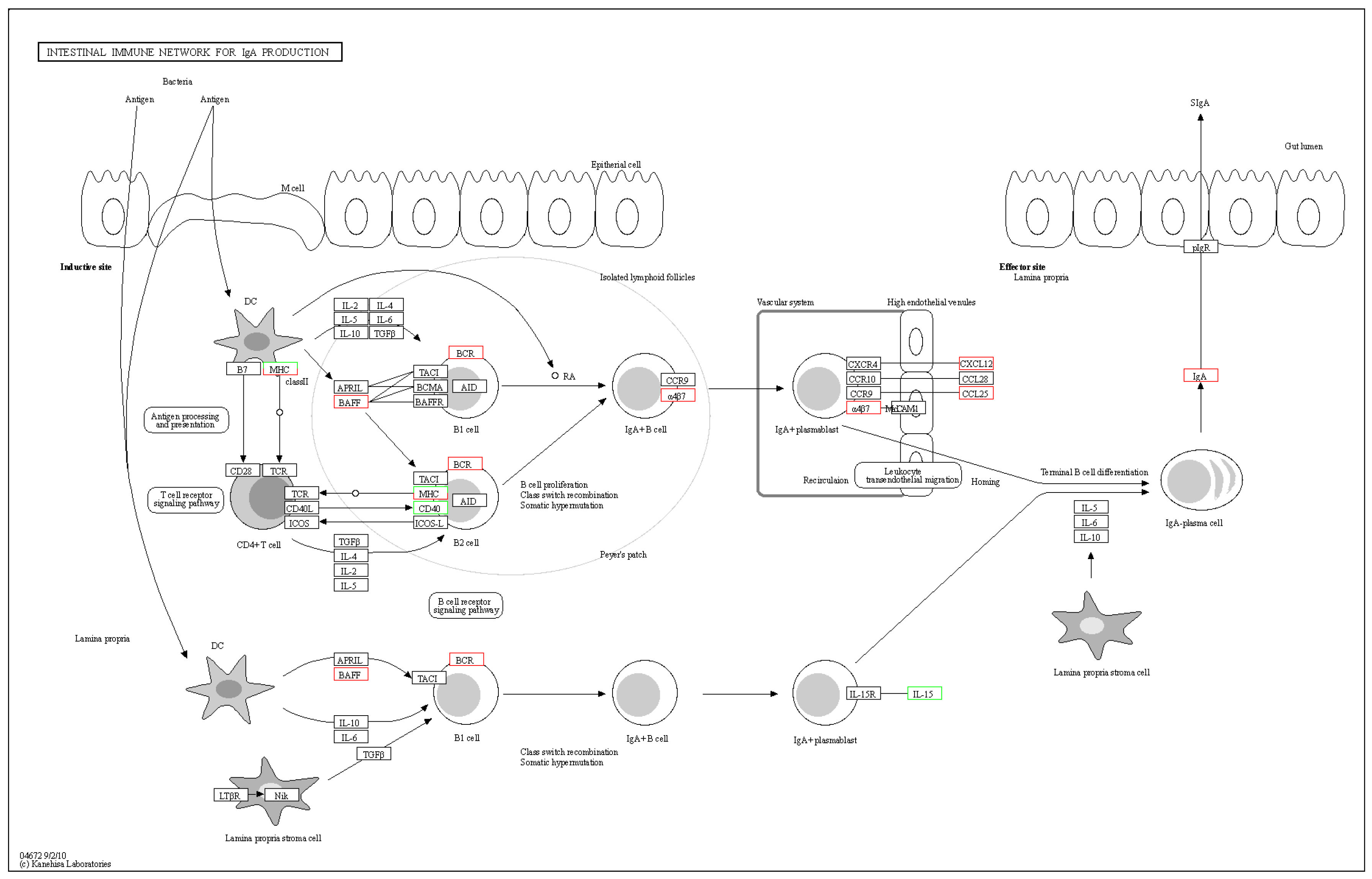 Fishes 10 00333 g012